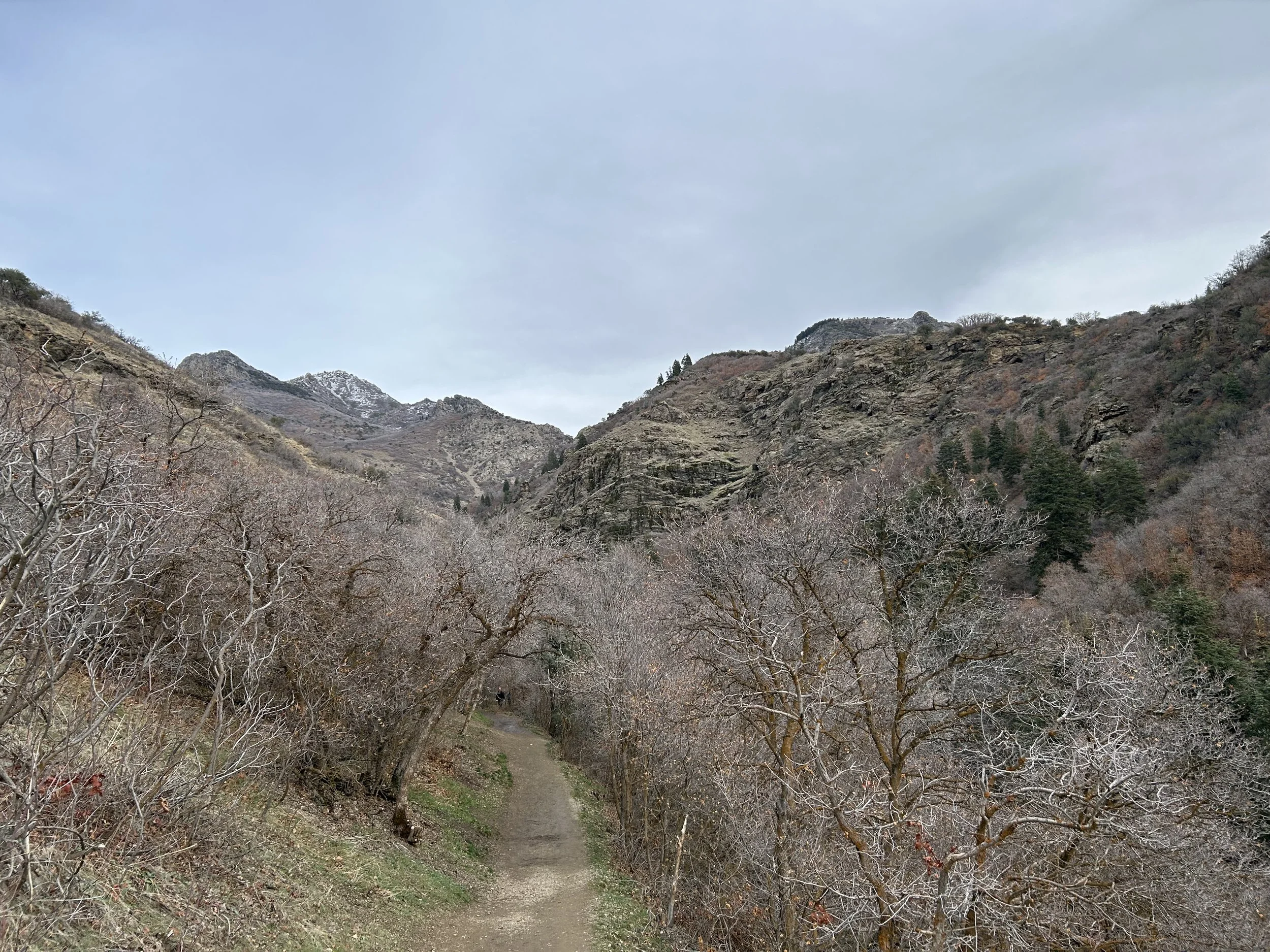 The Super Power Every Human Has