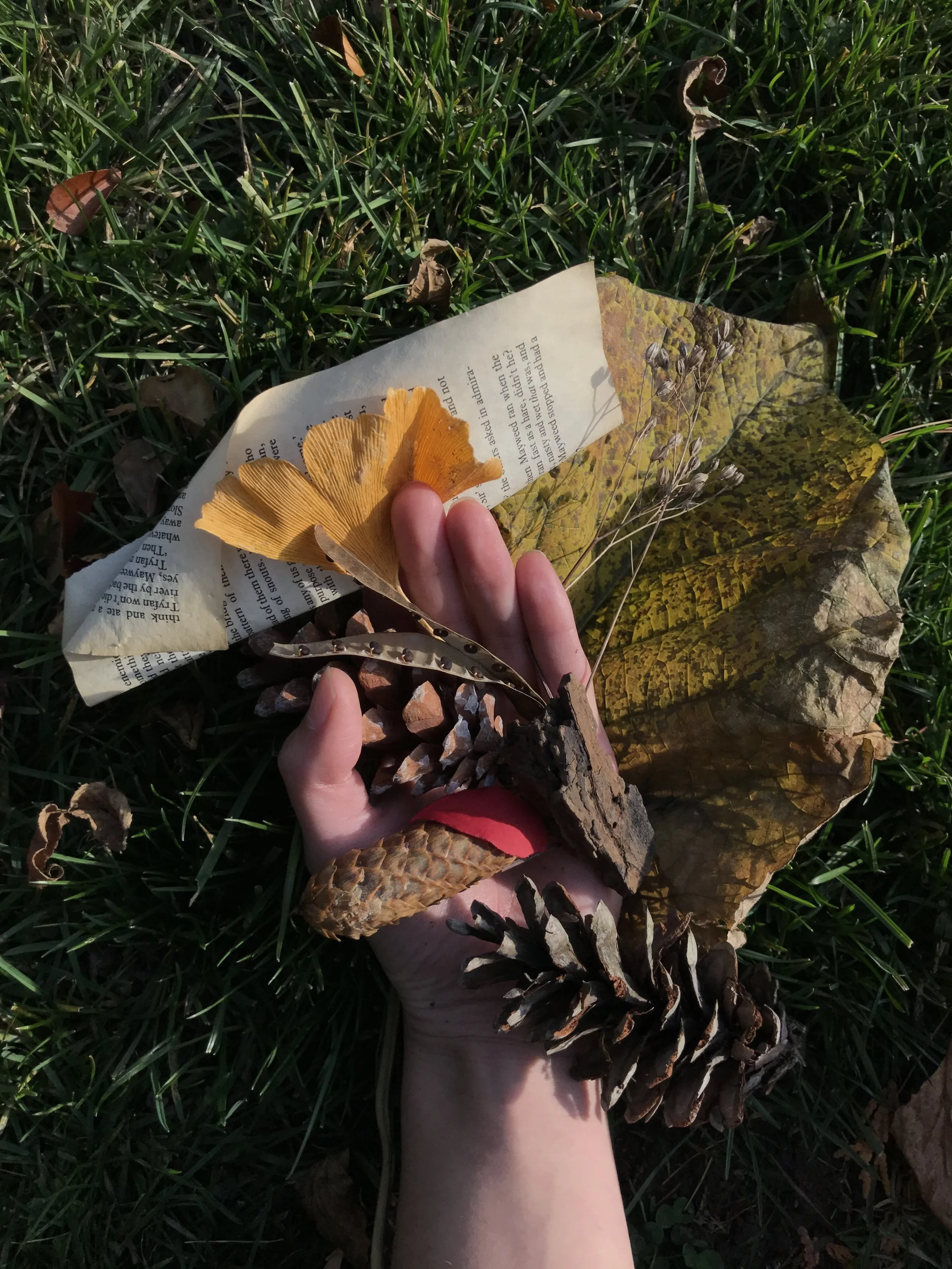 A hand lying on grass holding pinecones, a yellow-orange mushroom, and dried leaves with a torn piece of paper and a small dry plant nearby. The background features green grass and fallen leaves.