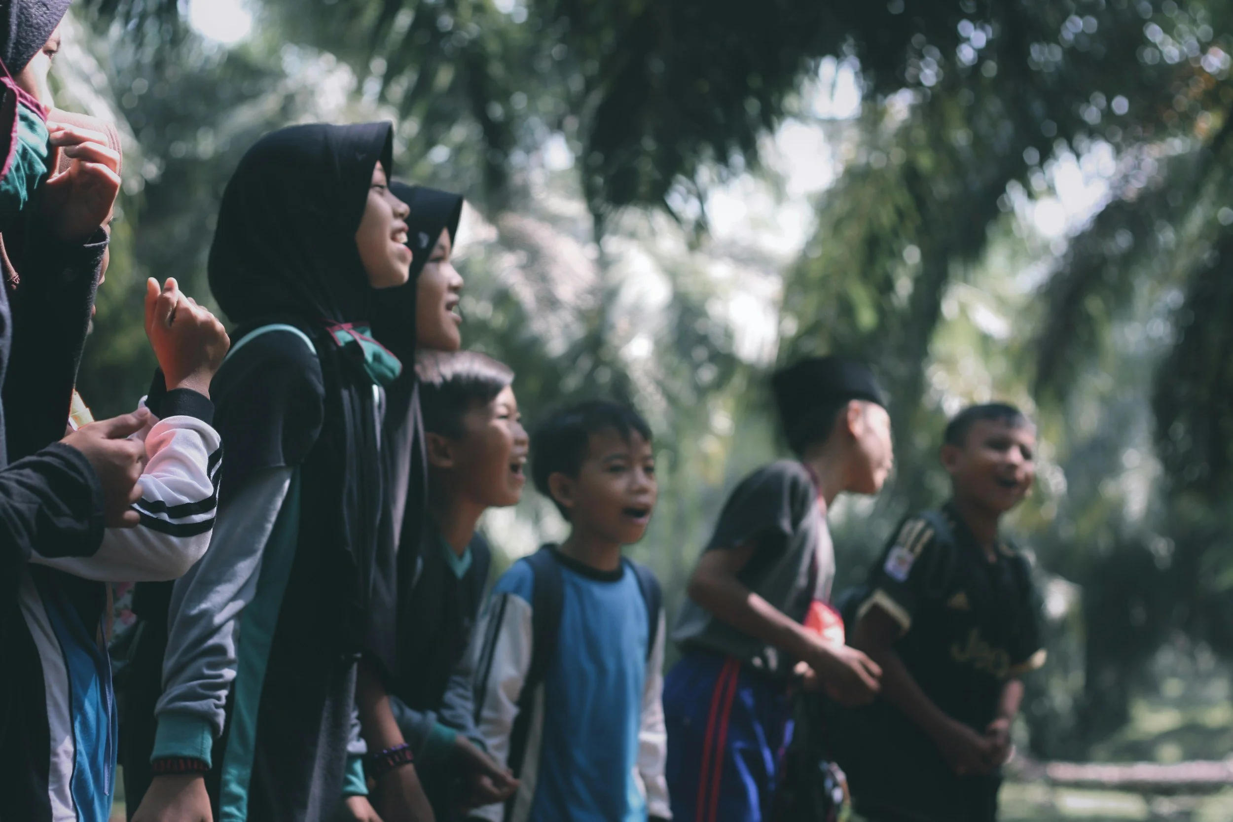 Program & Impact