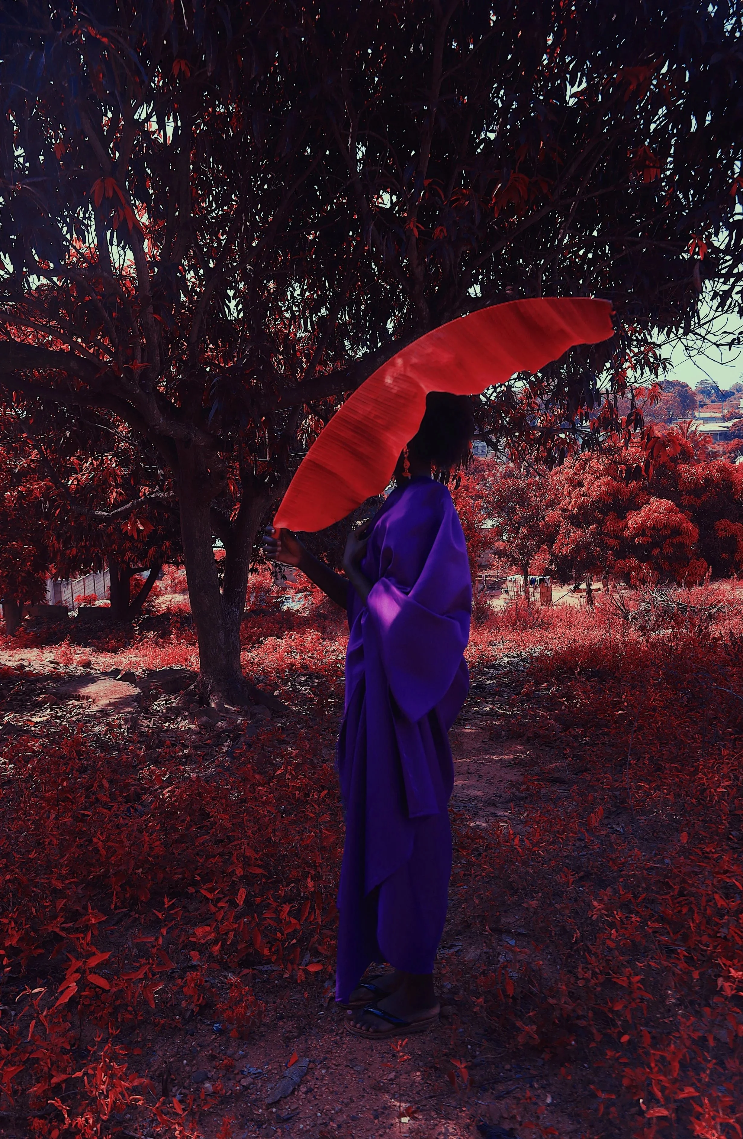 Morowa Nana – The Keeper of Stories

Year :July 2024

Medium :Digital Photography 

Dimensions :A4 (21.0 cm x 29.7 cm) 

Edition :Limited Edition (1/20)

(*)Accompanied by Certificate of Authenticity

Visual Narrative 

Closed in deep hues and shield