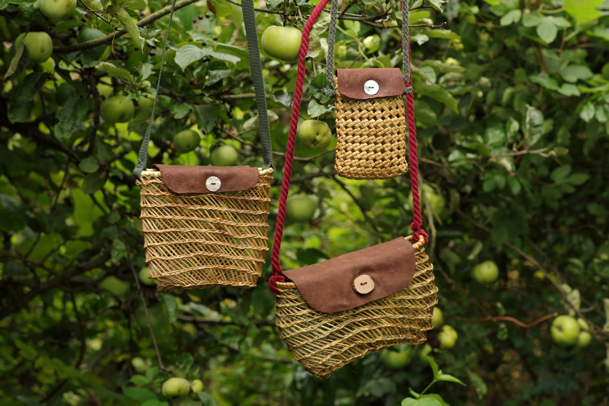 Tres bolsas de phormium tenax colgadas en un árbol con manzanas verdes en el fondo.