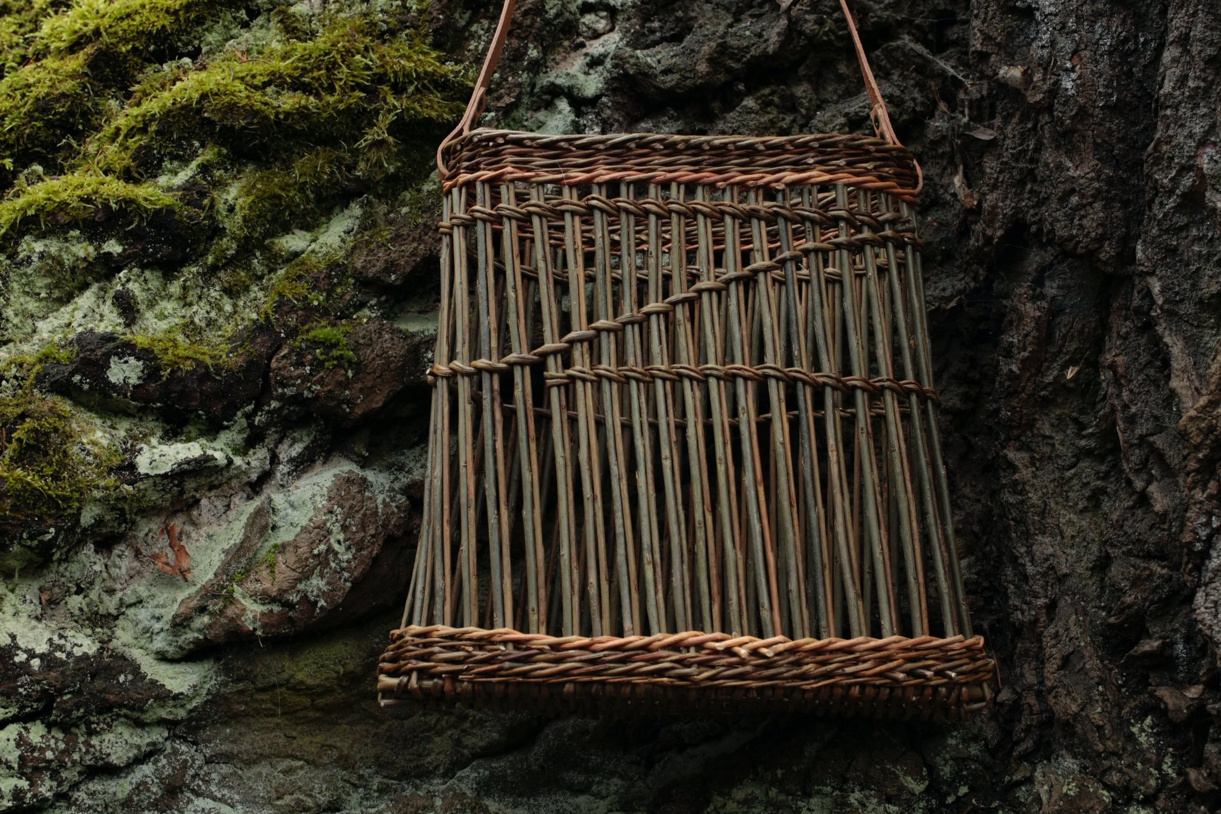 Cesta de mimbre colgada en una roca con musgo.