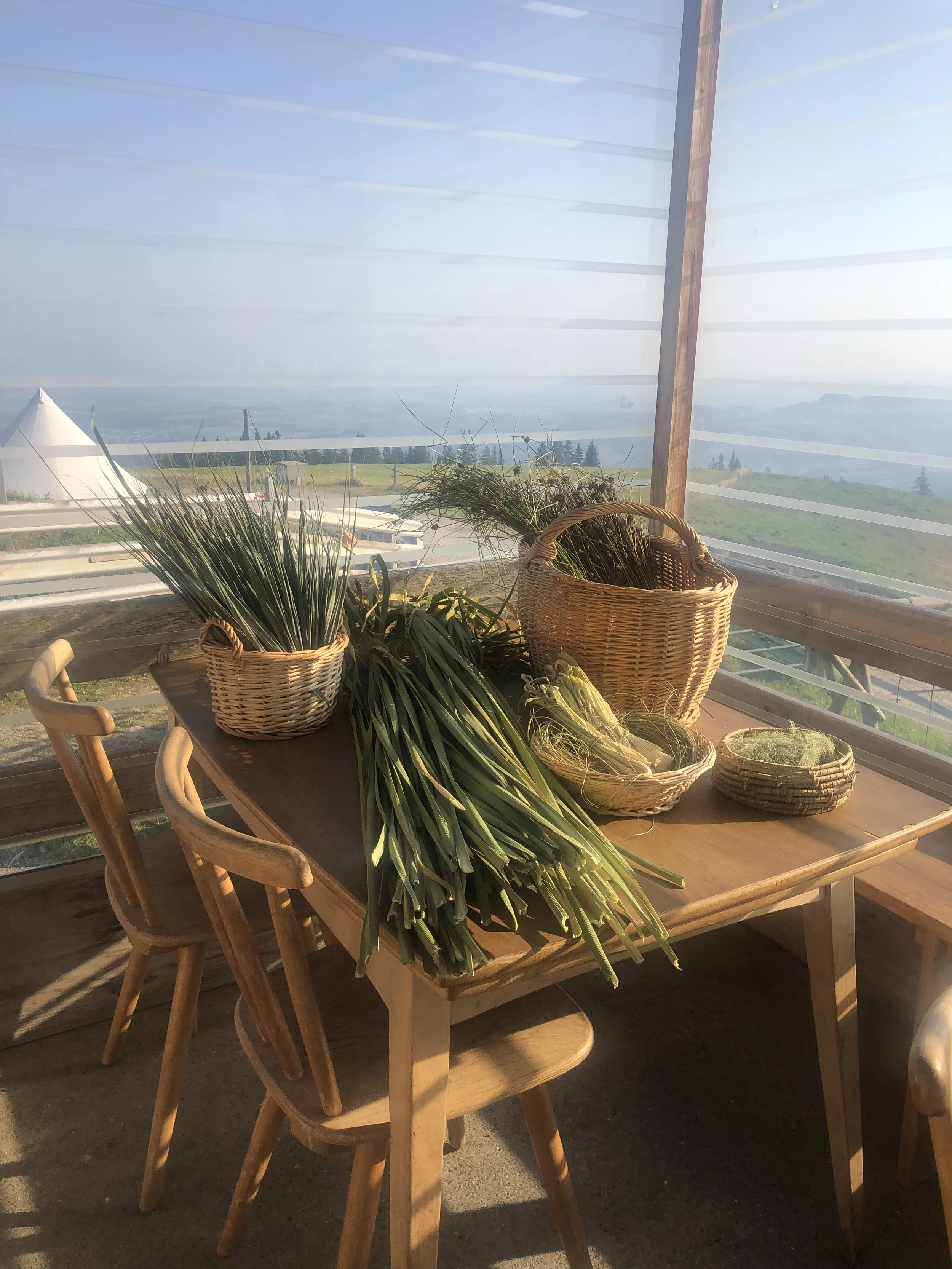 Mesa de madera con cestas y plantas o hierbas arriba, en un espacio cerrado con vista al campo y el cielo.