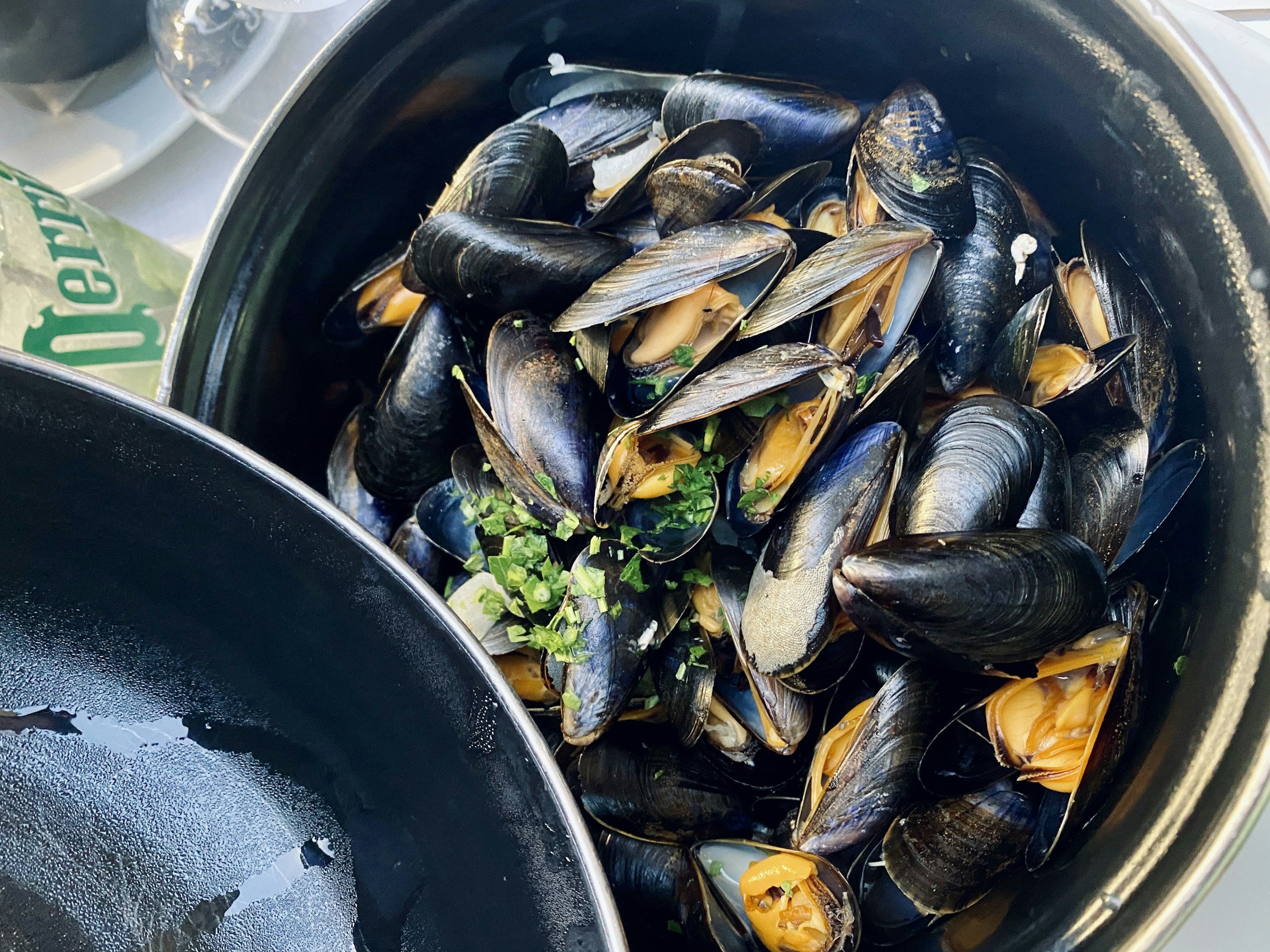 A bowl of cooked mussels garnished with chopped herbs.