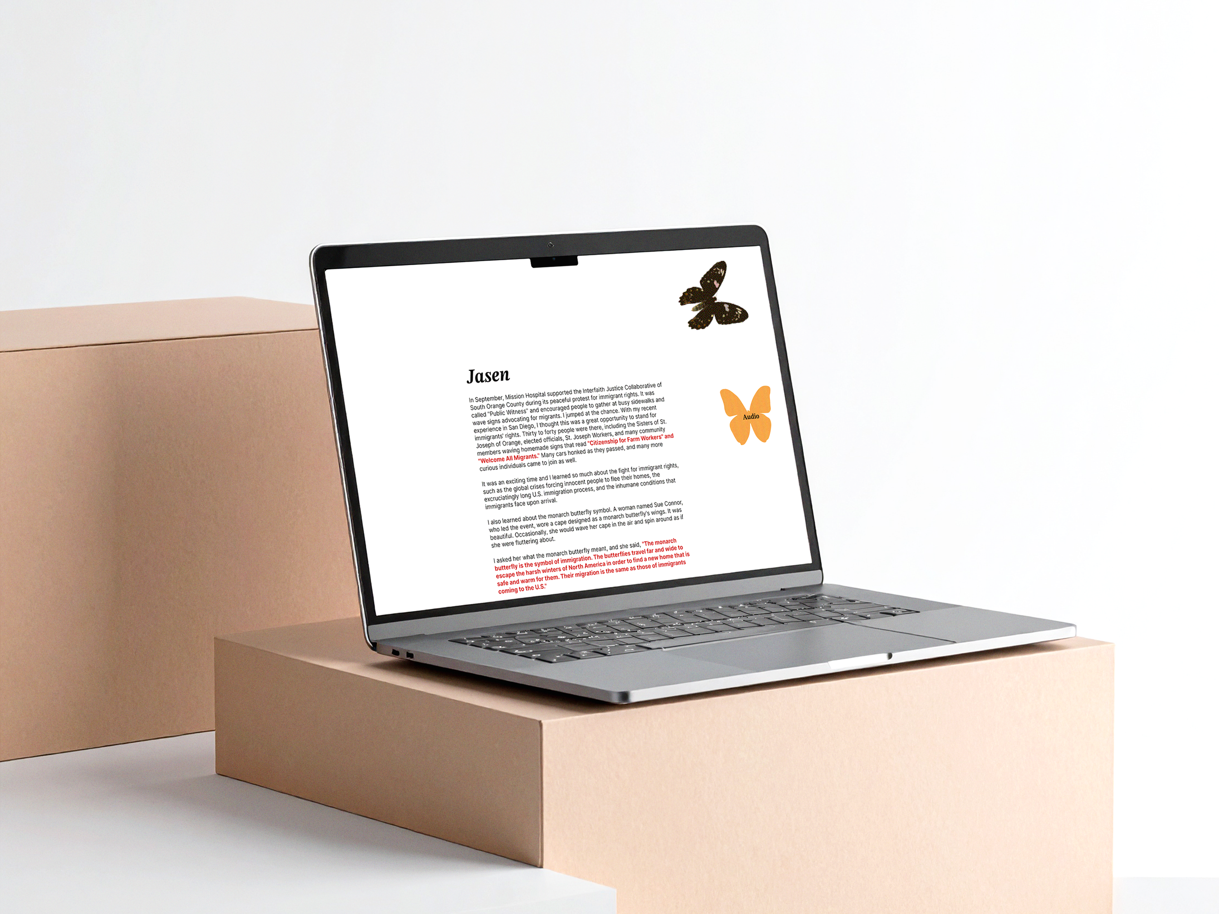 collection mock up2.png