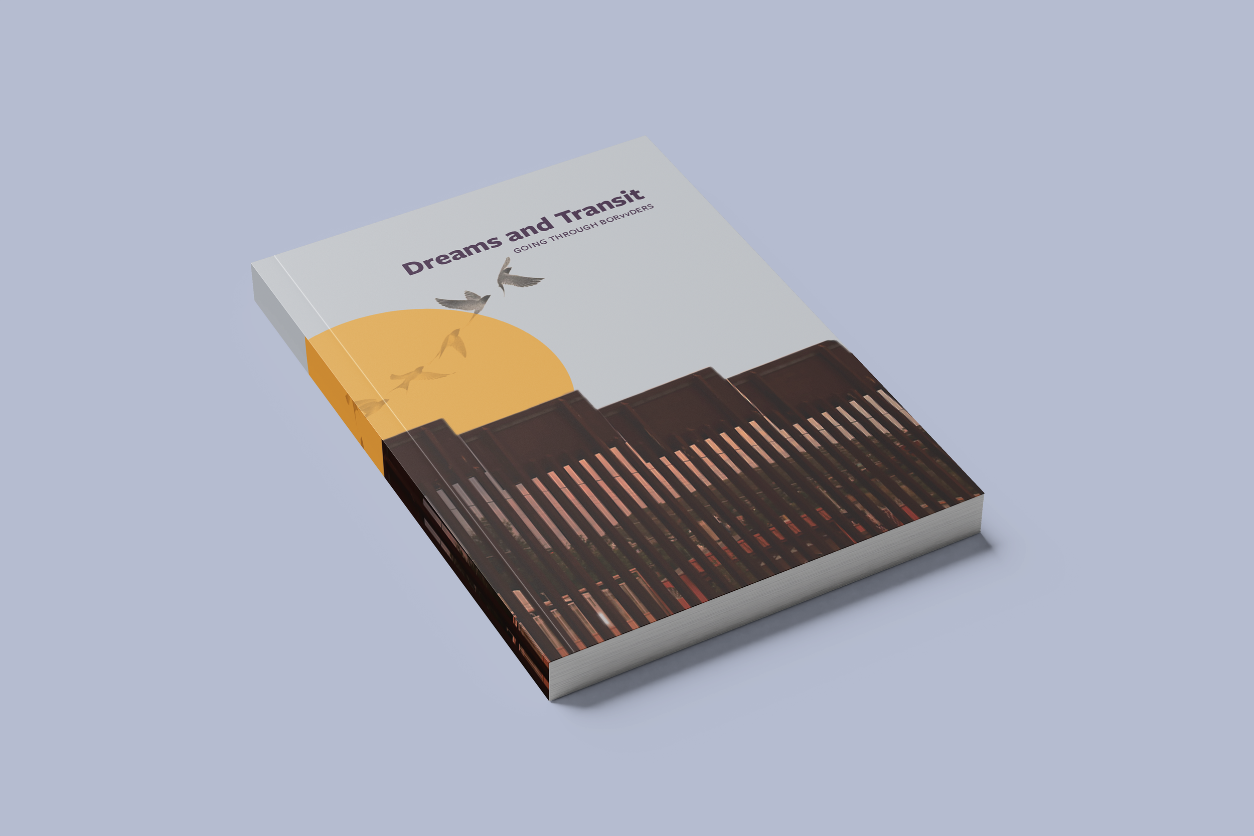 Dreams and Transit GOING THROUGH BORDERS