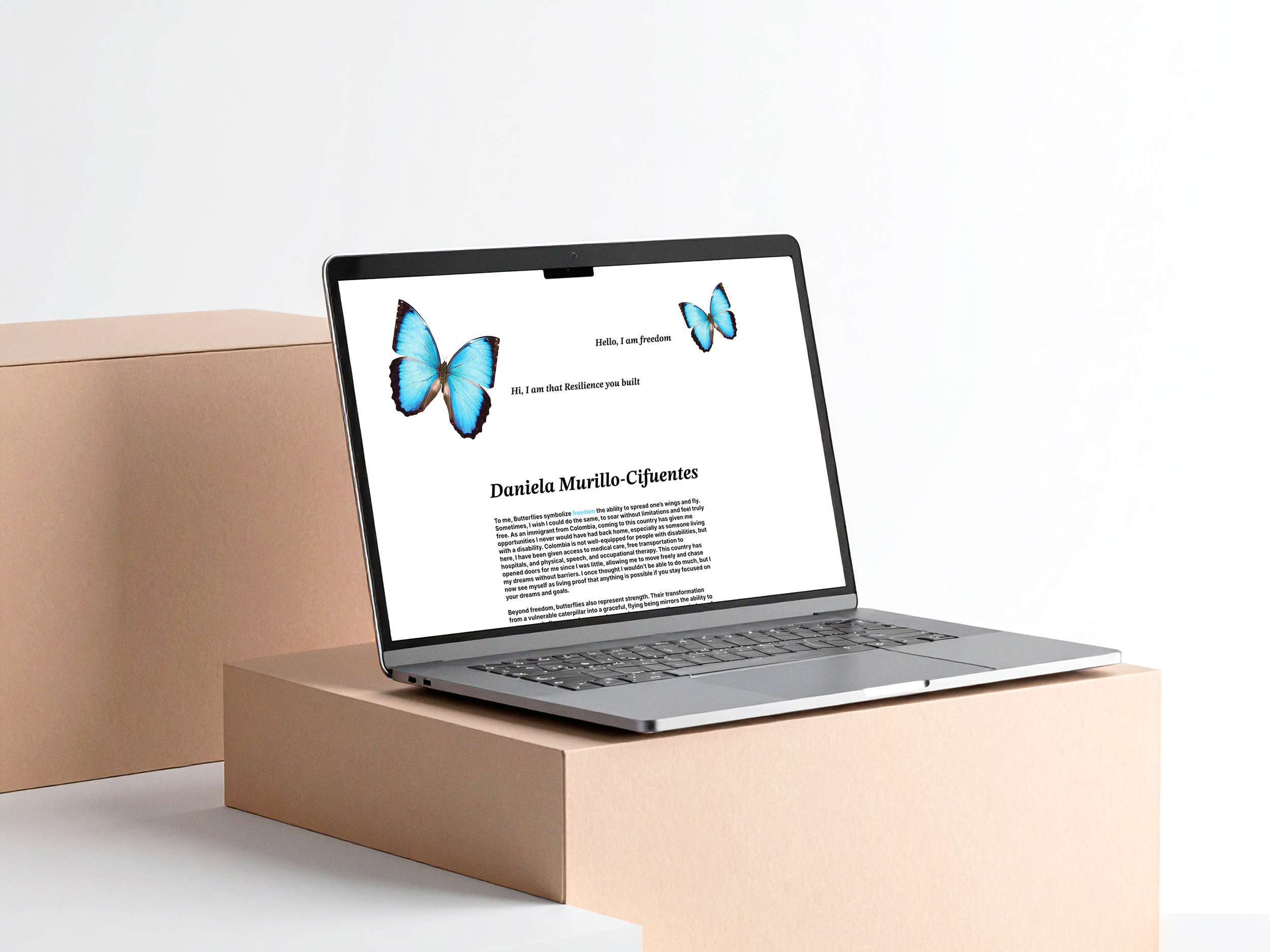 Butterfly Collection