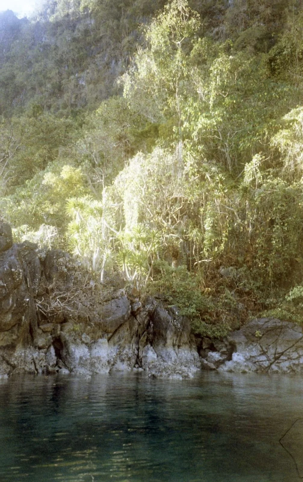 film_ph17 (1).jpeg