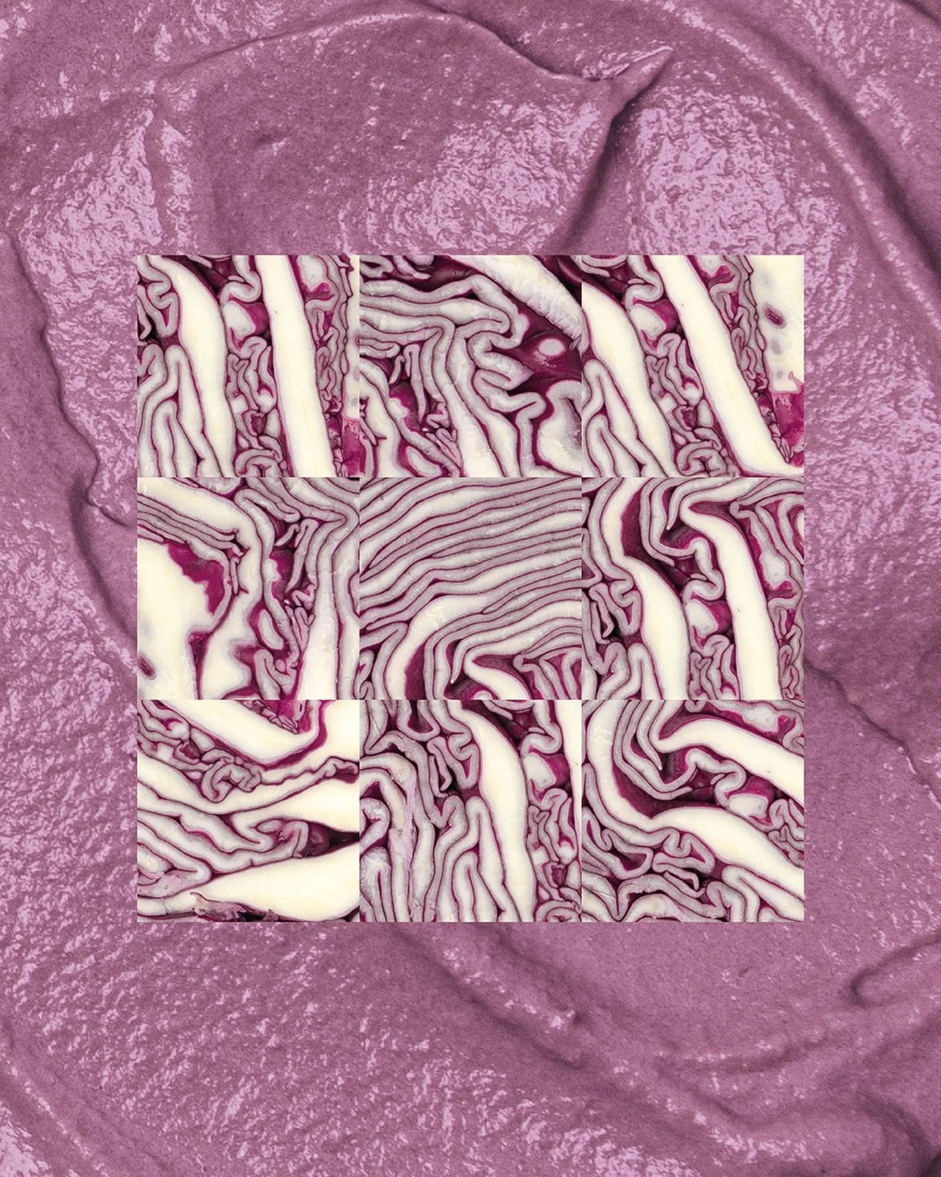 🎨 Se perdre dans les motifs du vivant.
D&eacute;couvrir, au c&oelig;ur d&rsquo;un chou rouge, un v&eacute;ritable tableau.

Jouer avec ces formes, explorer leurs textures, les transformer&hellip;
C&rsquo;est l&agrave; que tout commence pour moi.
Tro