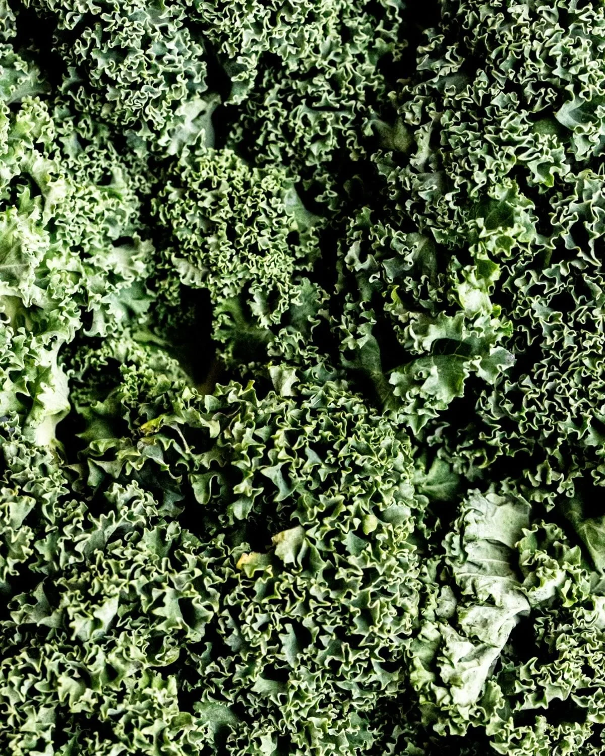 Prendre le temps 
de regarder le vivant.
La mati&egrave;re brute.
S&rsquo;arr&ecirc;ter un instant.
Et s&rsquo;&eacute;merveiller.

// Je suis Marie, photographe d&rsquo;histoires vivantes, pour les pros et familles. Je suis &agrave; Annecy, Gen&egra