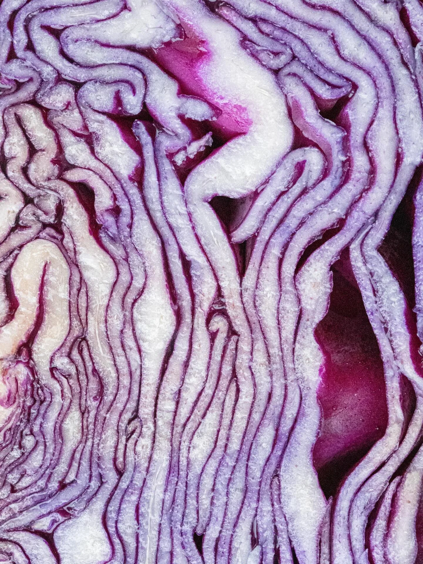 J&rsquo;aime me perdre 
dans les d&eacute;tails du vivant,
pour me reconnecter &agrave; l&rsquo;essentiel 
et me rappeler
que la beaut&eacute; est partout.

// Je suis Marie, photographe et conceptrice d&rsquo;histoires vivantes. Pour les familles et