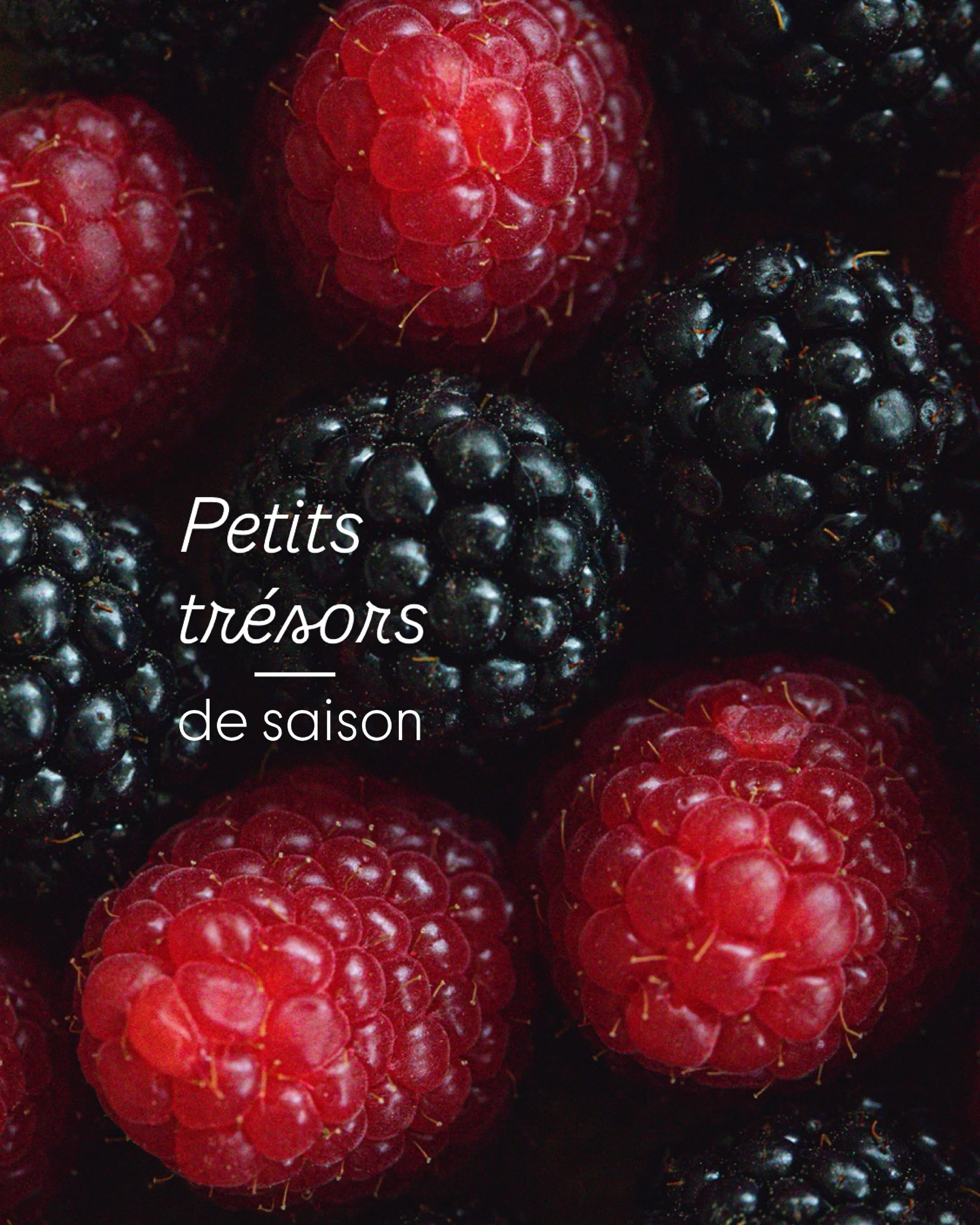 On oublie parfois que certaines choses ne sont l&agrave; que quelques semaines.
Les m&ucirc;res, les fraises et les framboises. Les tomates qui ont du go&ucirc;t. Les mains pleines de fruits rouges. Les radis tordus du jardin.
Les saisons passent. Pu
