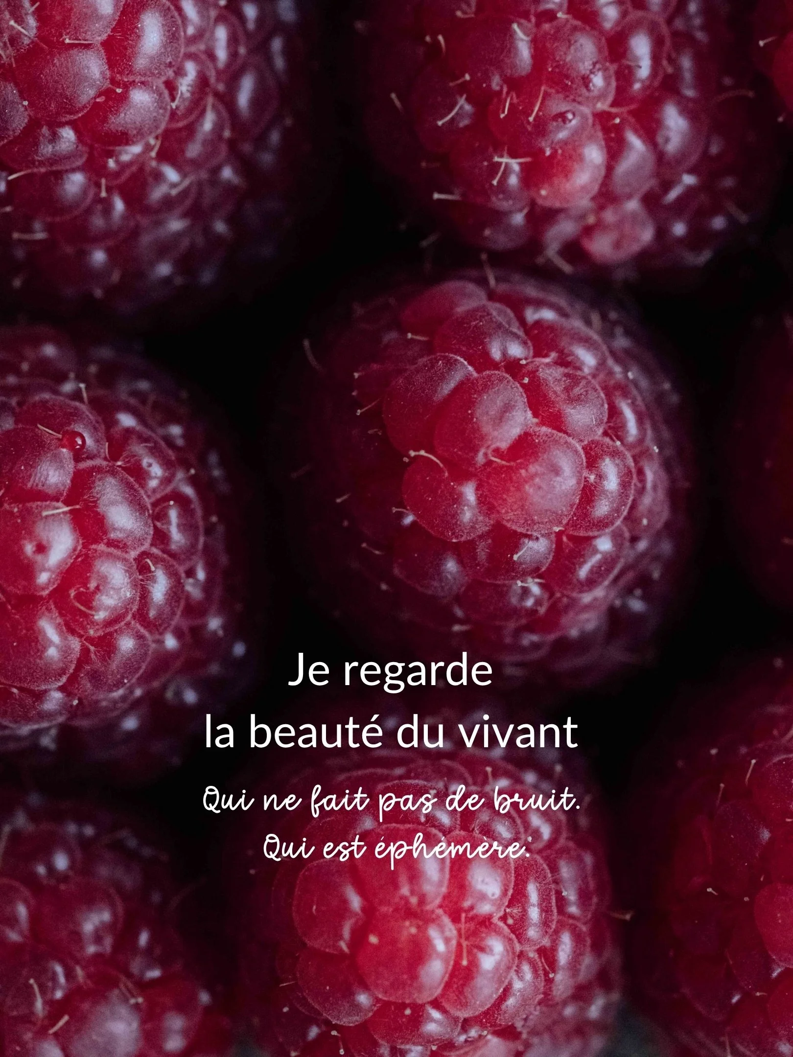 Je regarde l&rsquo;&eacute;ph&eacute;m&egrave;re. 
Ce qui est l&agrave; et qui ne fait pas de bruit. 
Ce qui para&icirc;t banal mais qui contient l&rsquo;essentiel.

Des instants ordinaires qui replongent dans des odeurs, des sons, des sensations. De