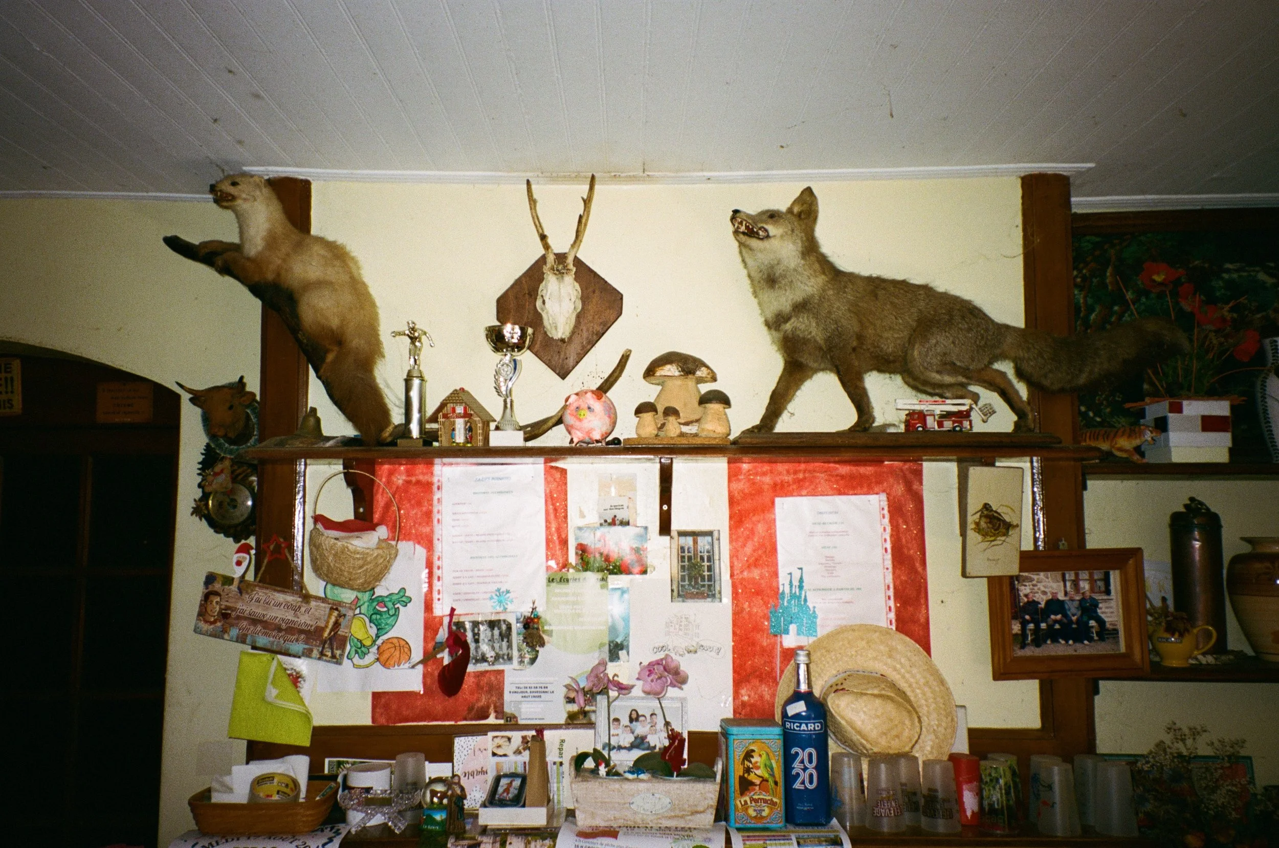 Décor de mur avec des trophées, des figurines, et des objets divers.