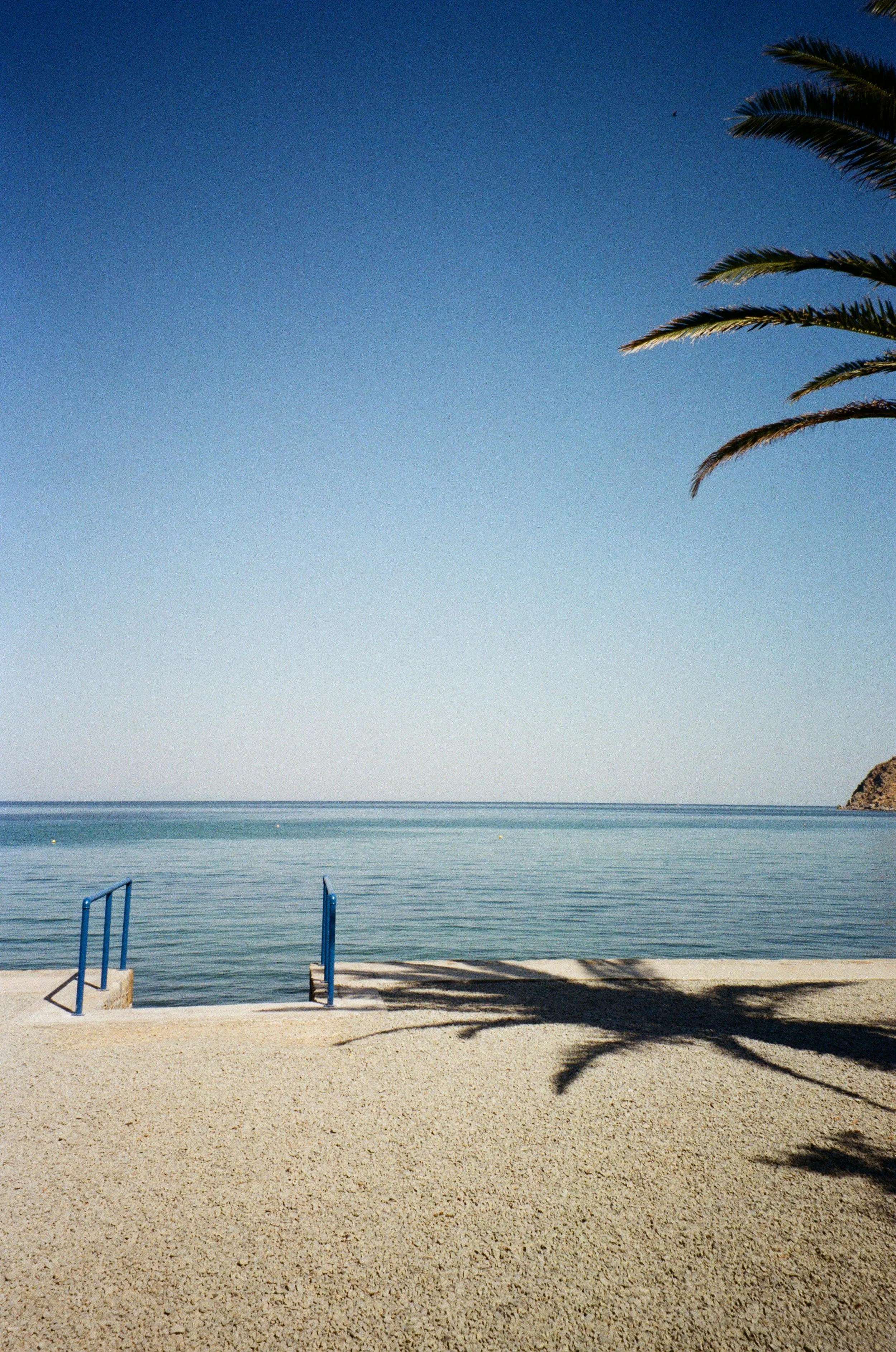 Plage de sable avec des escaliers bleus menant à la mer, ombragée par un palmier, avec un rocher en arrière-plan et un ciel clair.