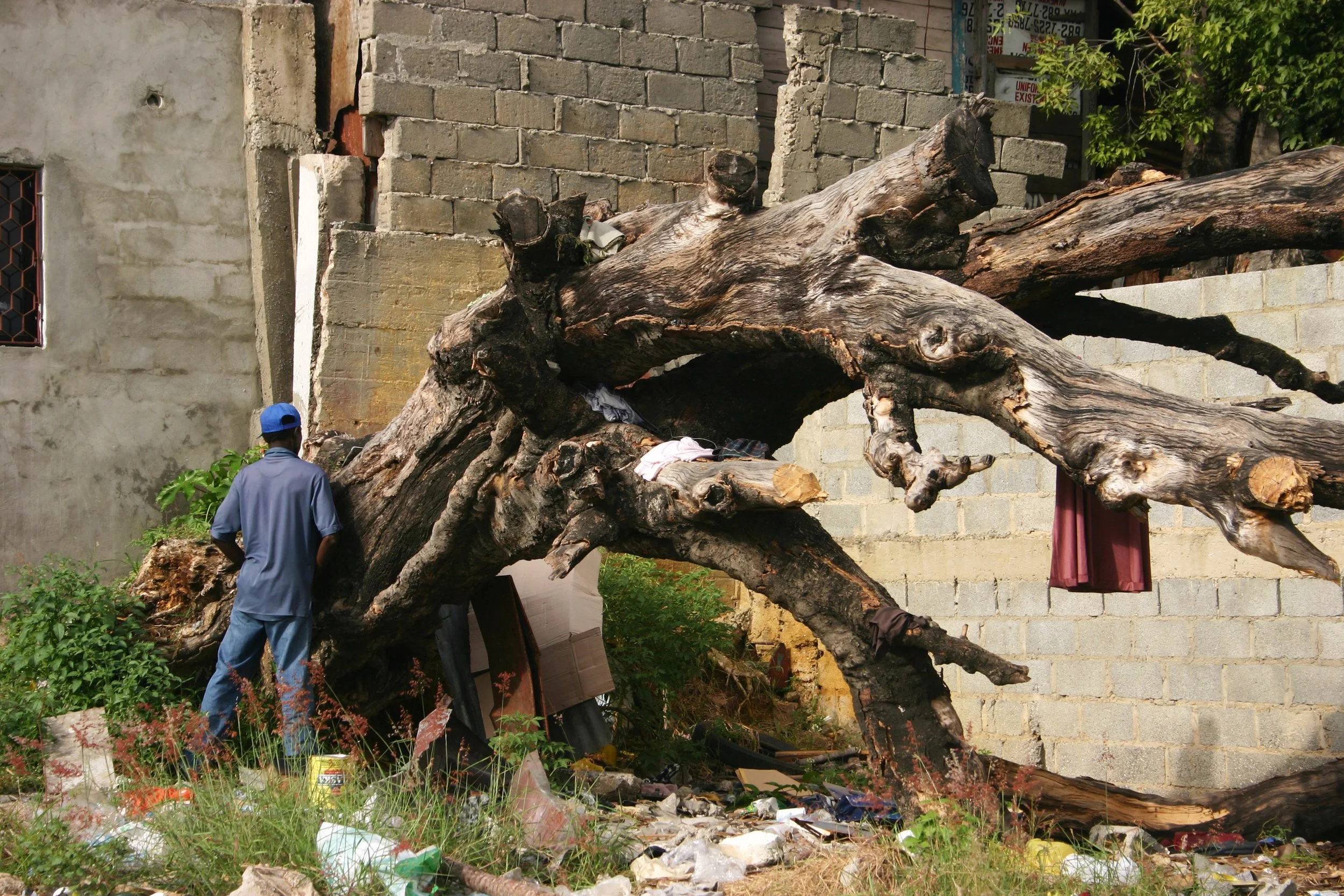 Un homme en vêtements bleus regarde un arbre tombé à terre devant un bâtiment en construction ou en réparation, avec des débris et des vêtements suspendus à une fenêtre.