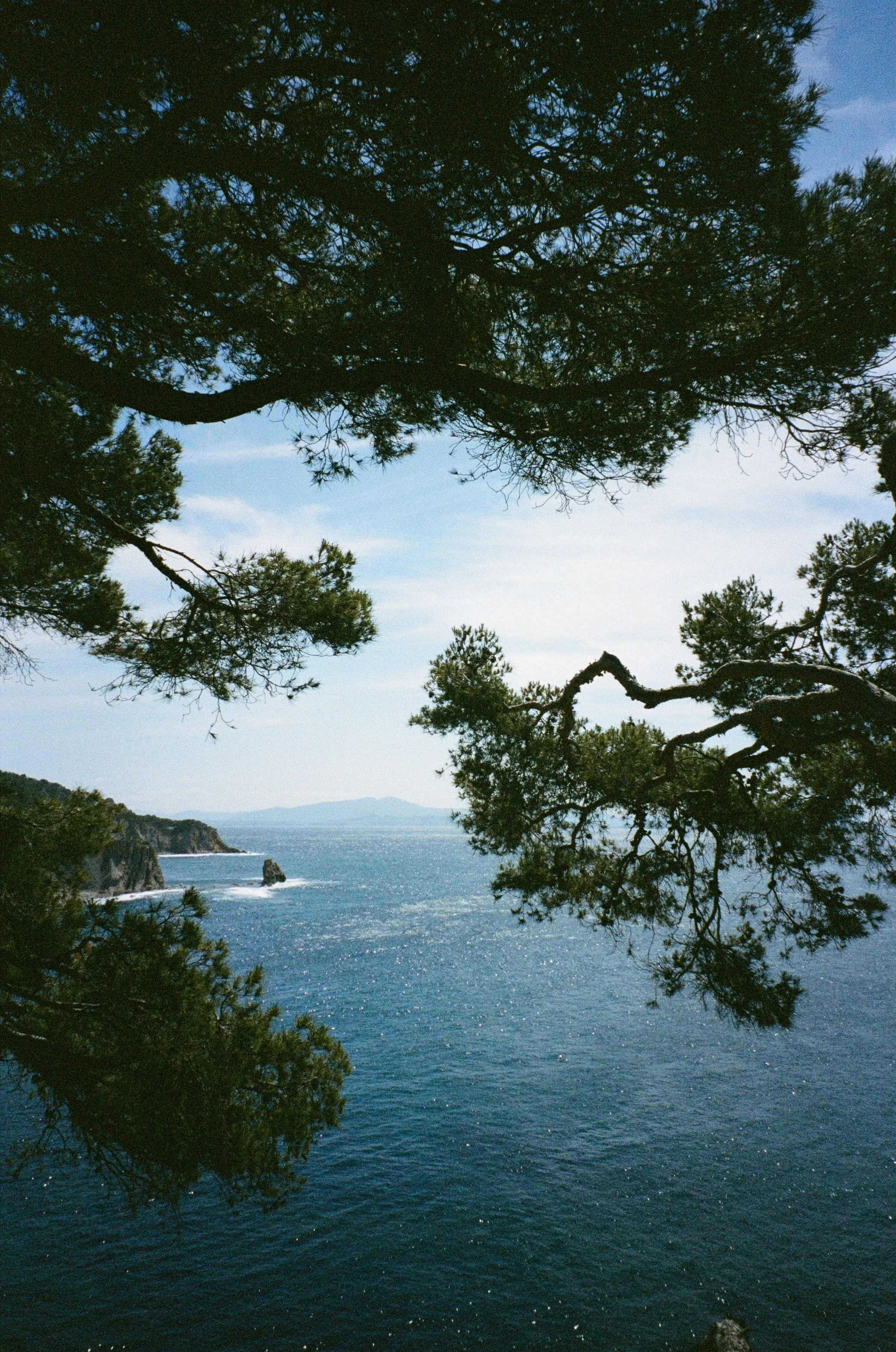 Vue de la mer depuis une forêt de pins, avec des branches d'arbres en premier plan et des rochers au loin.