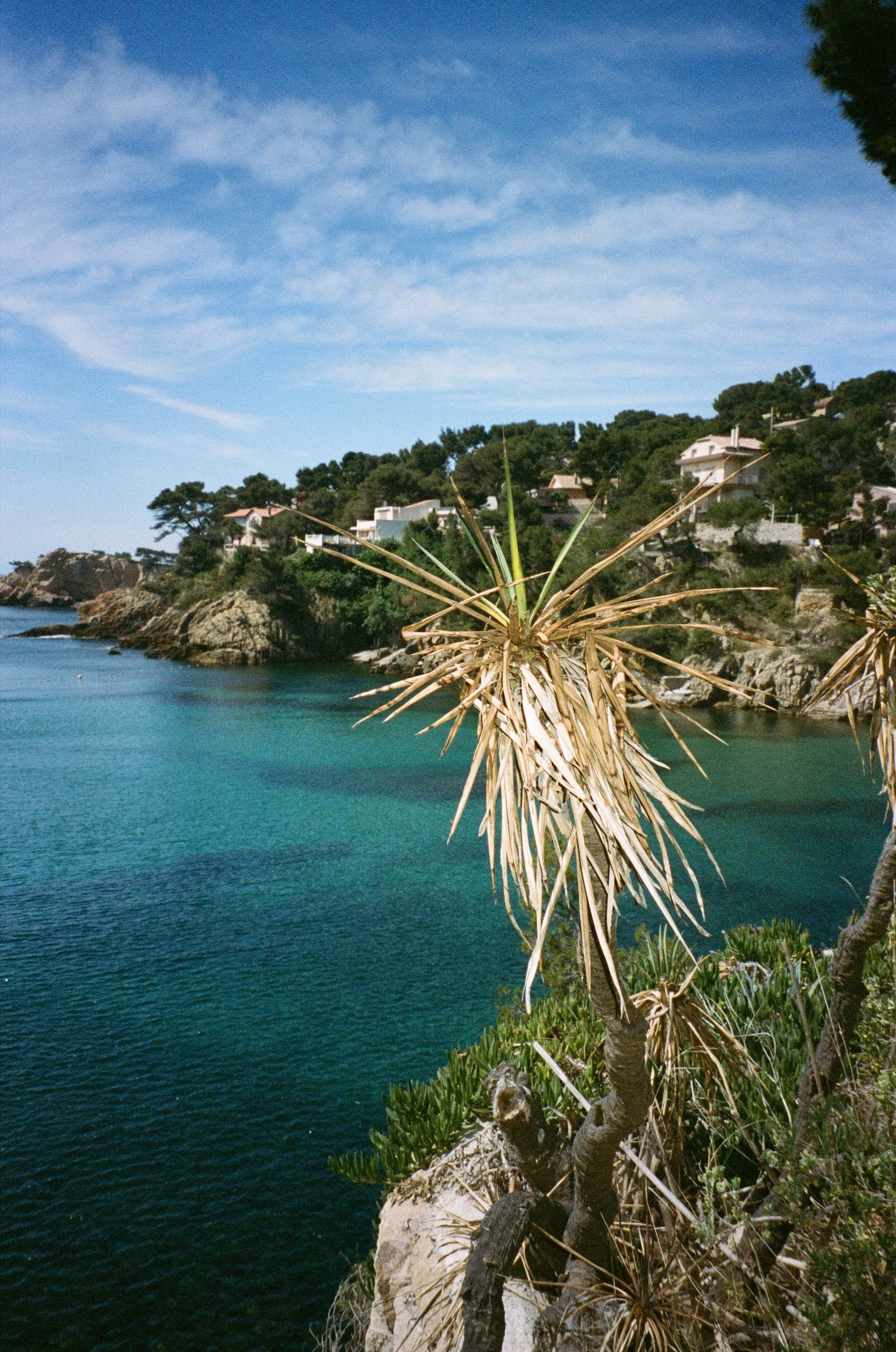 Côte rocheuse avec des maisons blanches et des arbres verts, vue sur la mer turquoise, ciel bleu avec quelques nuages.
