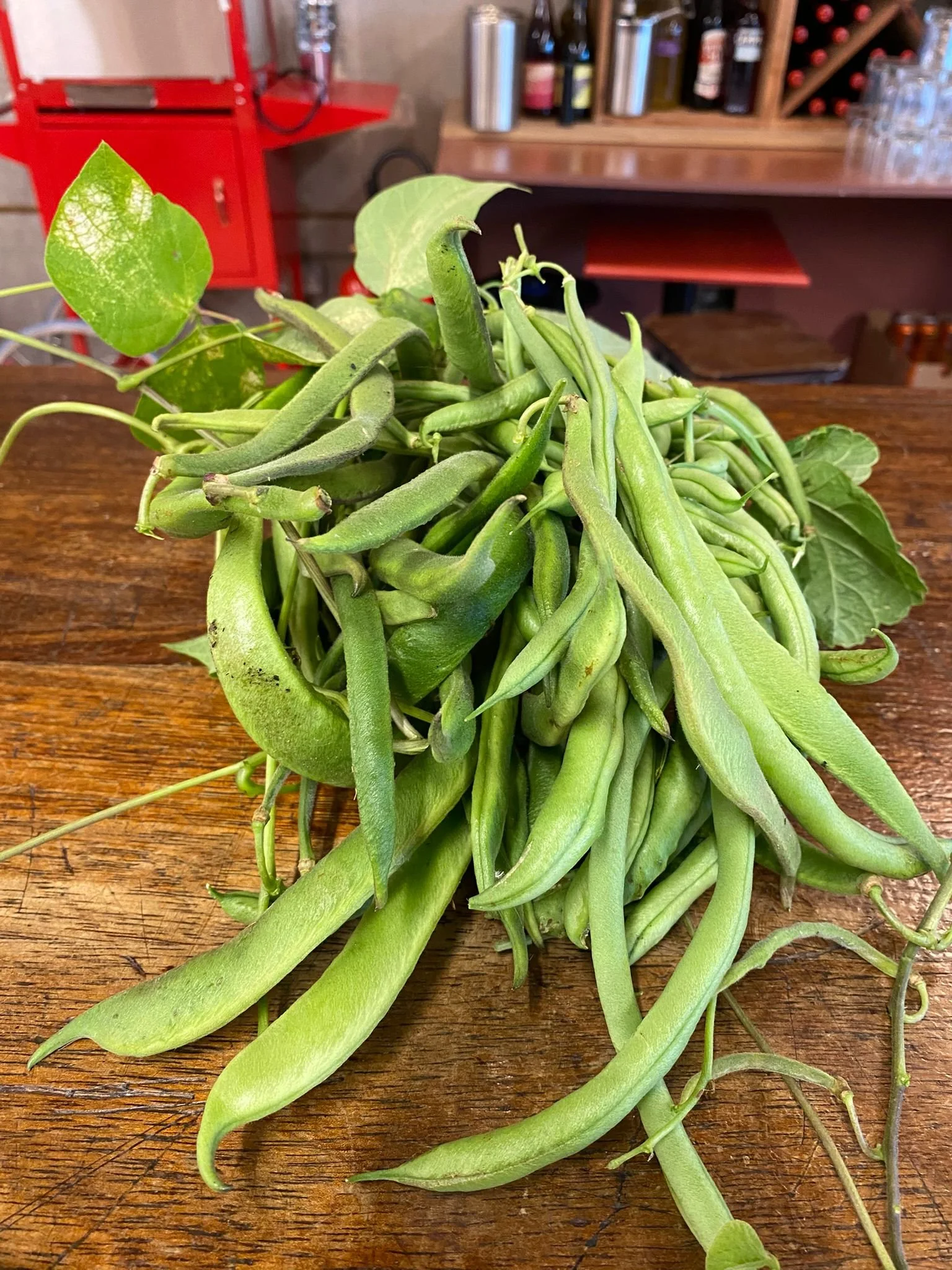 WhatsApp Image 2025-10-01 at 12.42.01 (5).jpeg