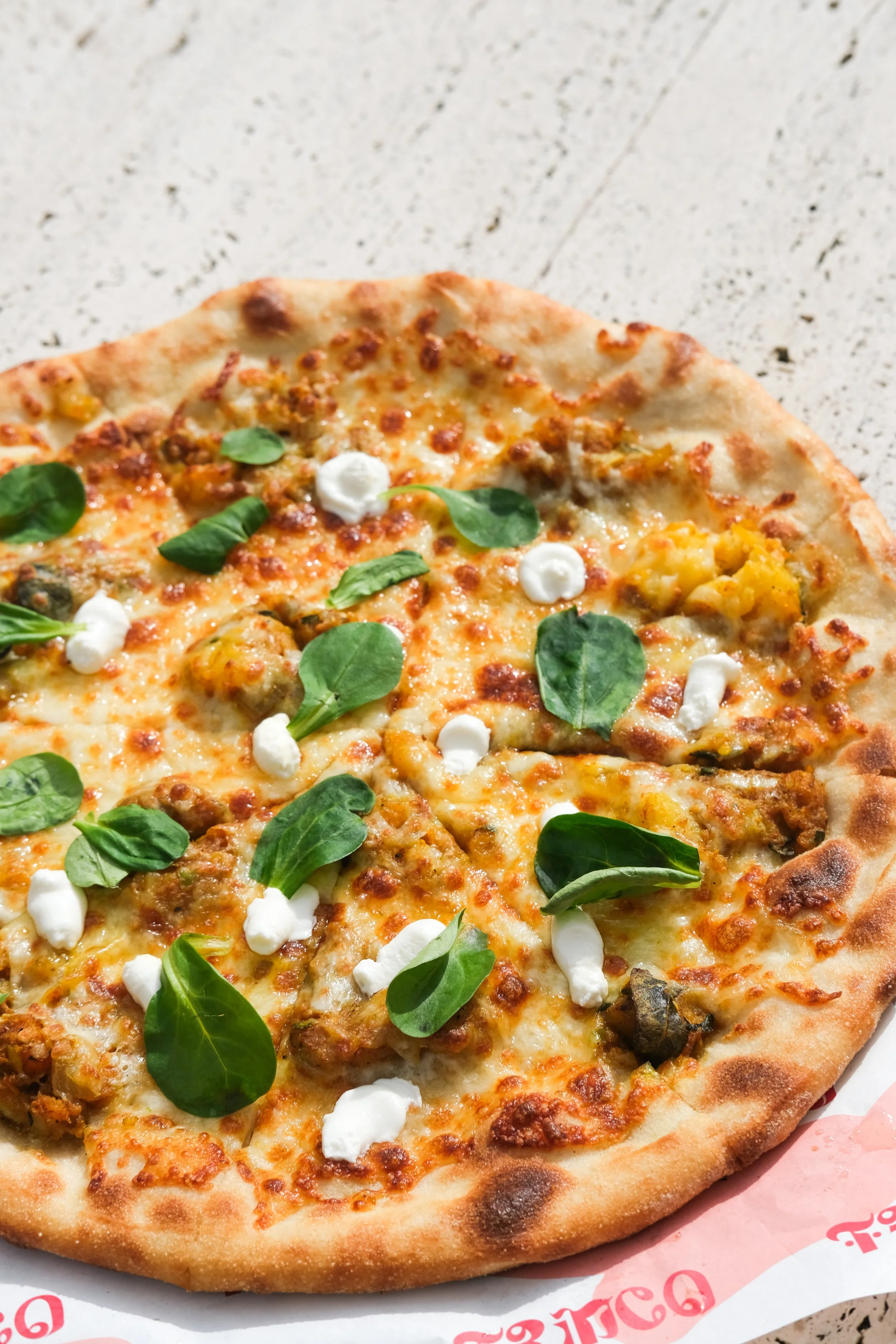 Close-up of a freshly baked pizza with cheese, meat, mozzarella cheese dollops, and fresh basil leaves on top.