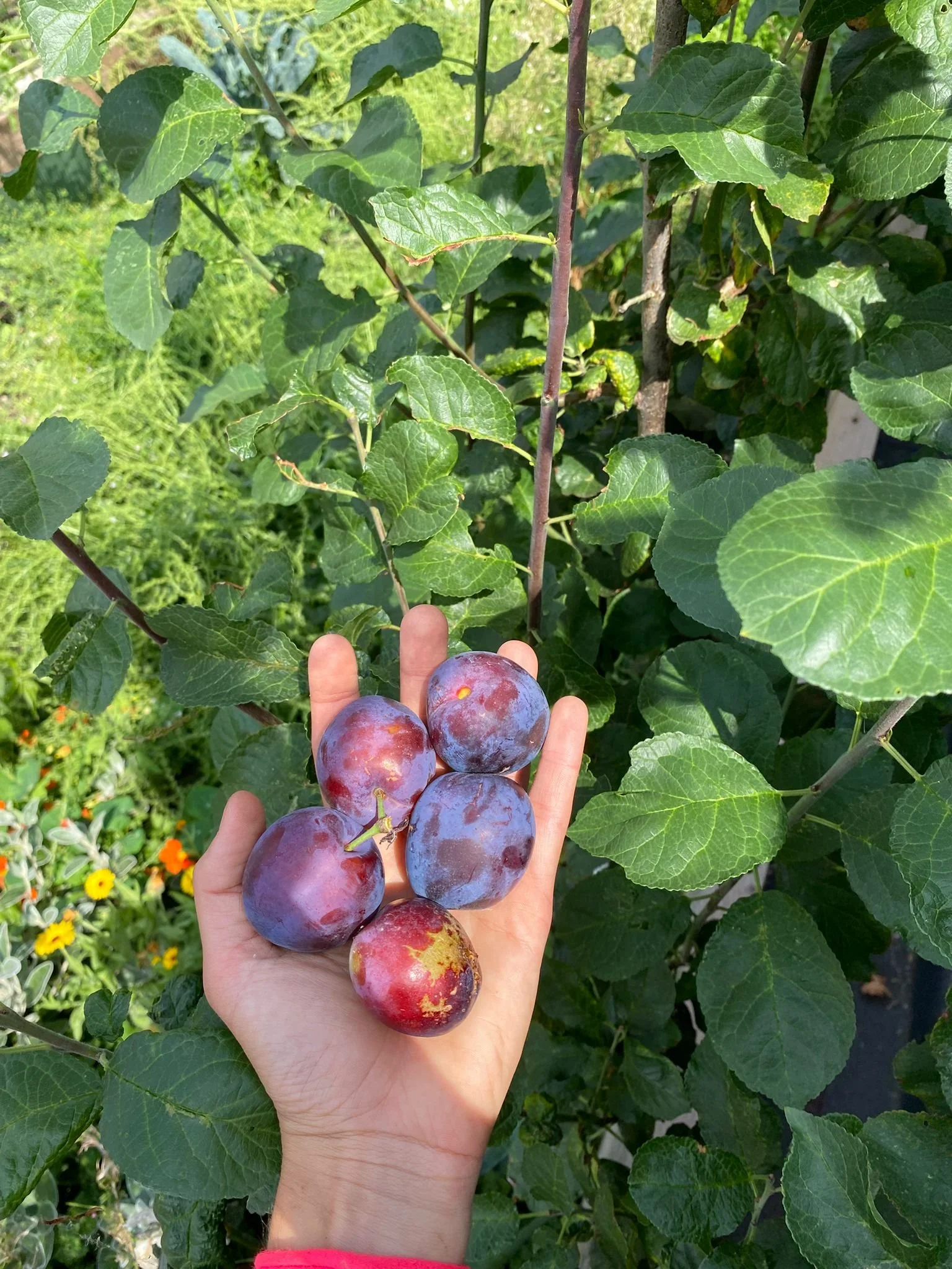 WhatsApp Image 2025-07-14 at 14.44.03.jpeg