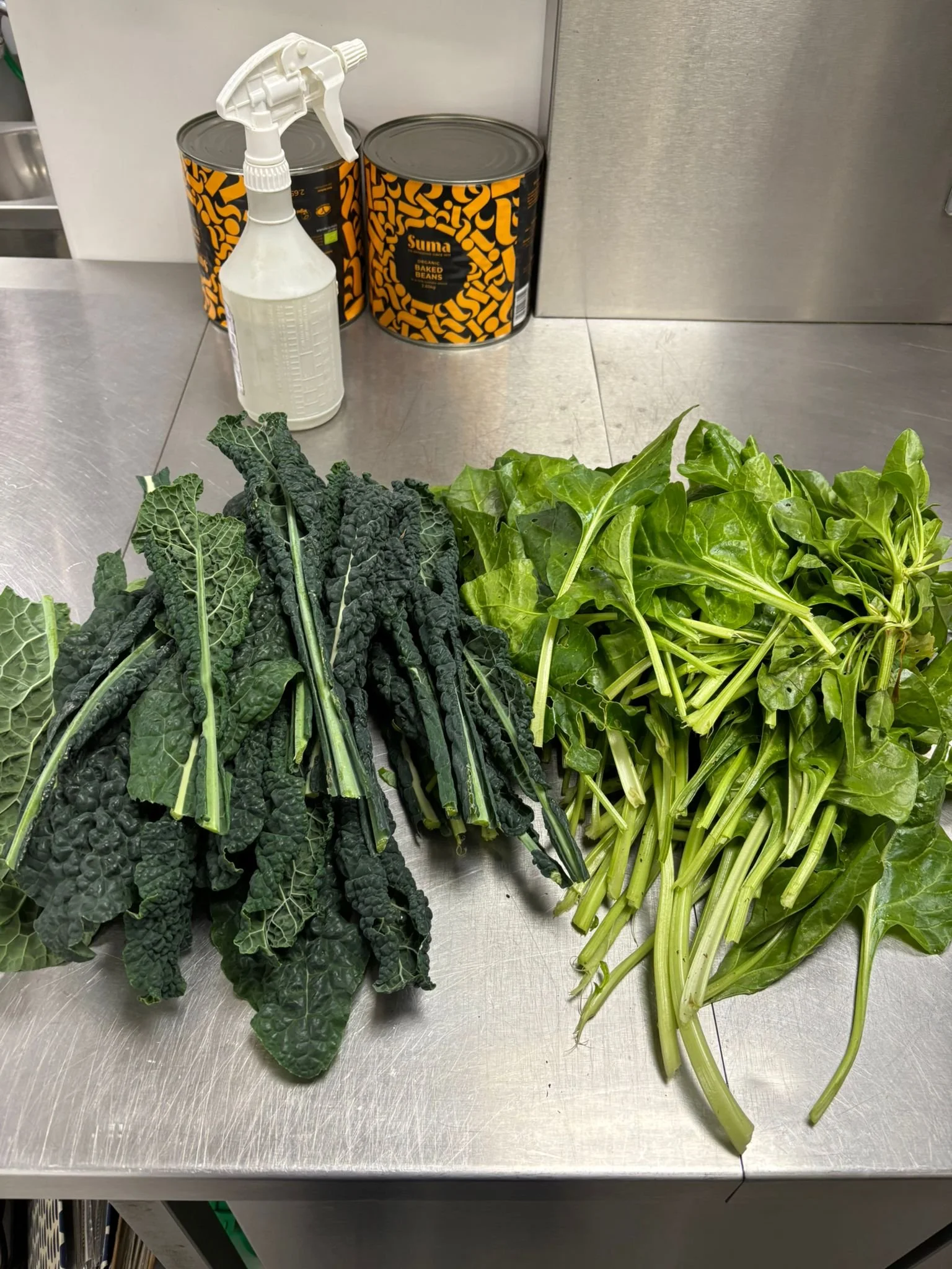 WhatsApp Image 2025-11-26 at 09.43.07 (1).jpeg