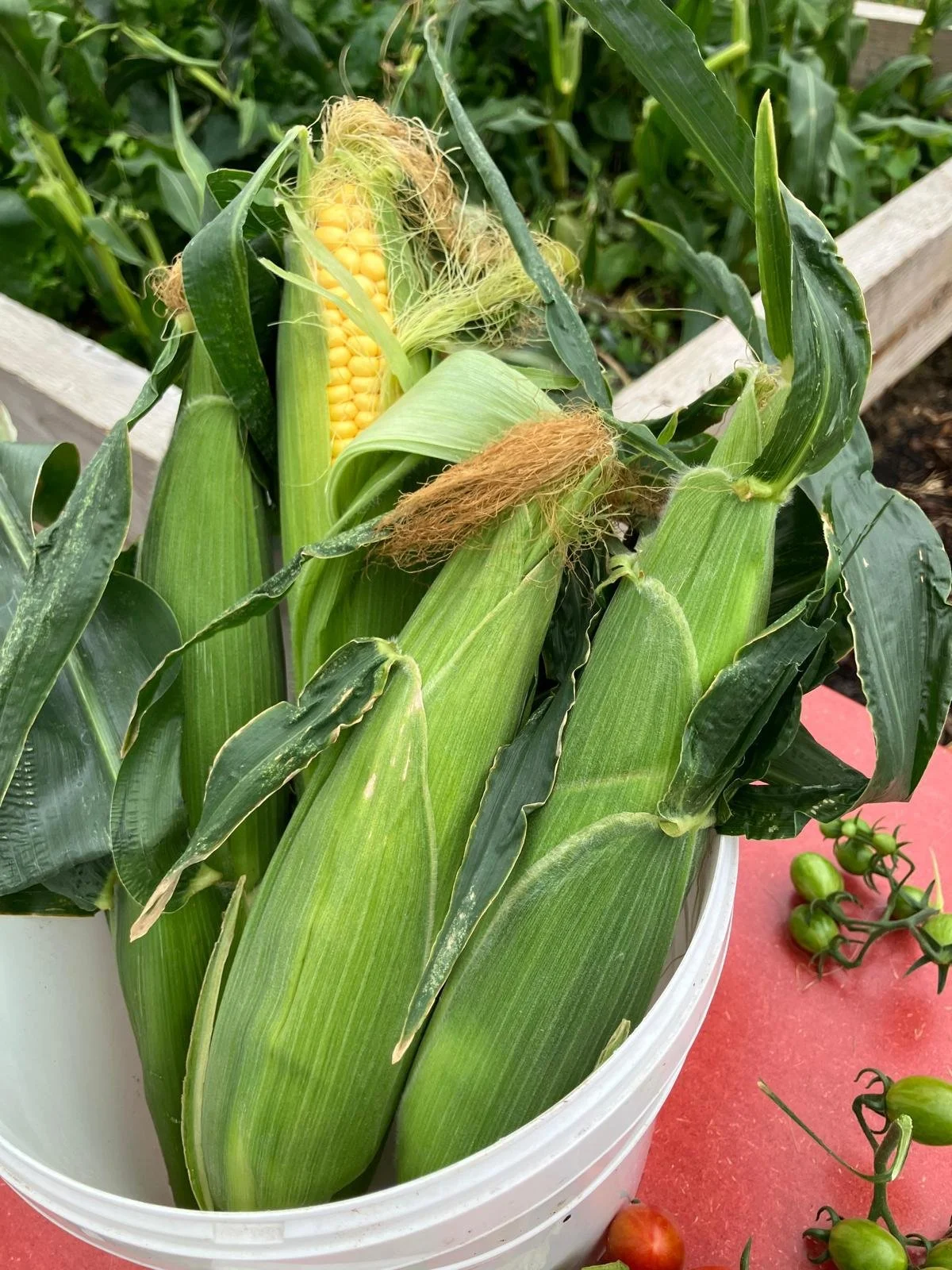 WhatsApp Image 2025-09-02 at 14.04.13 (6).jpeg