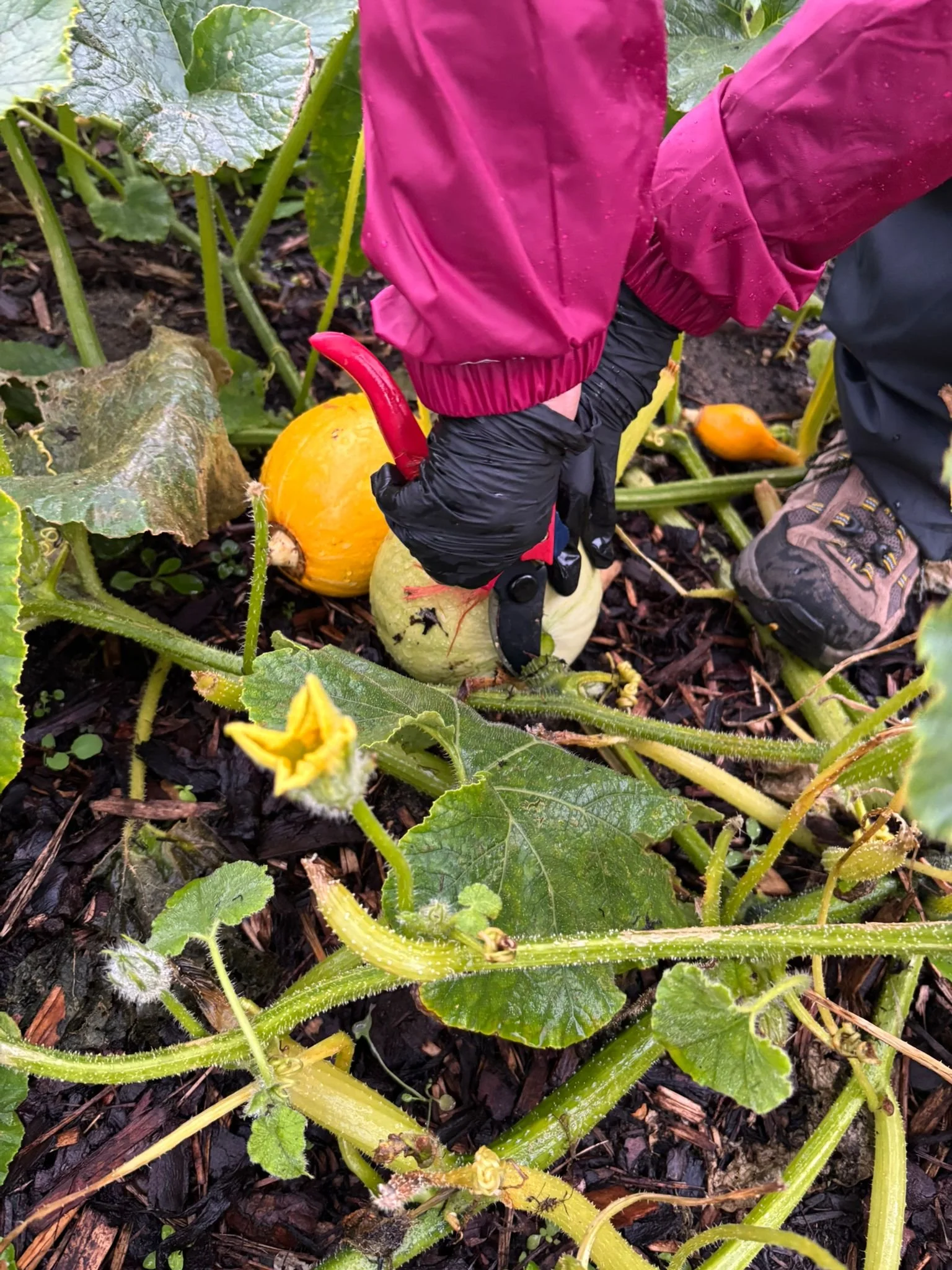 WhatsApp Image 2025-10-29 at 16.34.26.jpeg