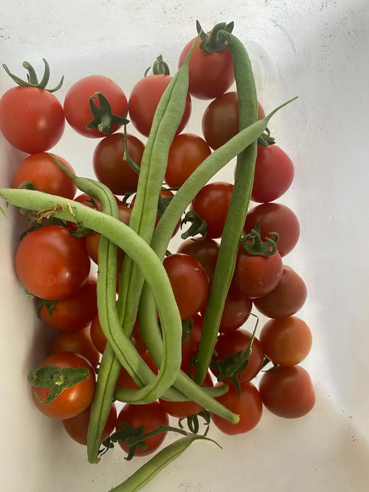 WhatsApp Image 2025-08-11 at 10.41.10.jpeg