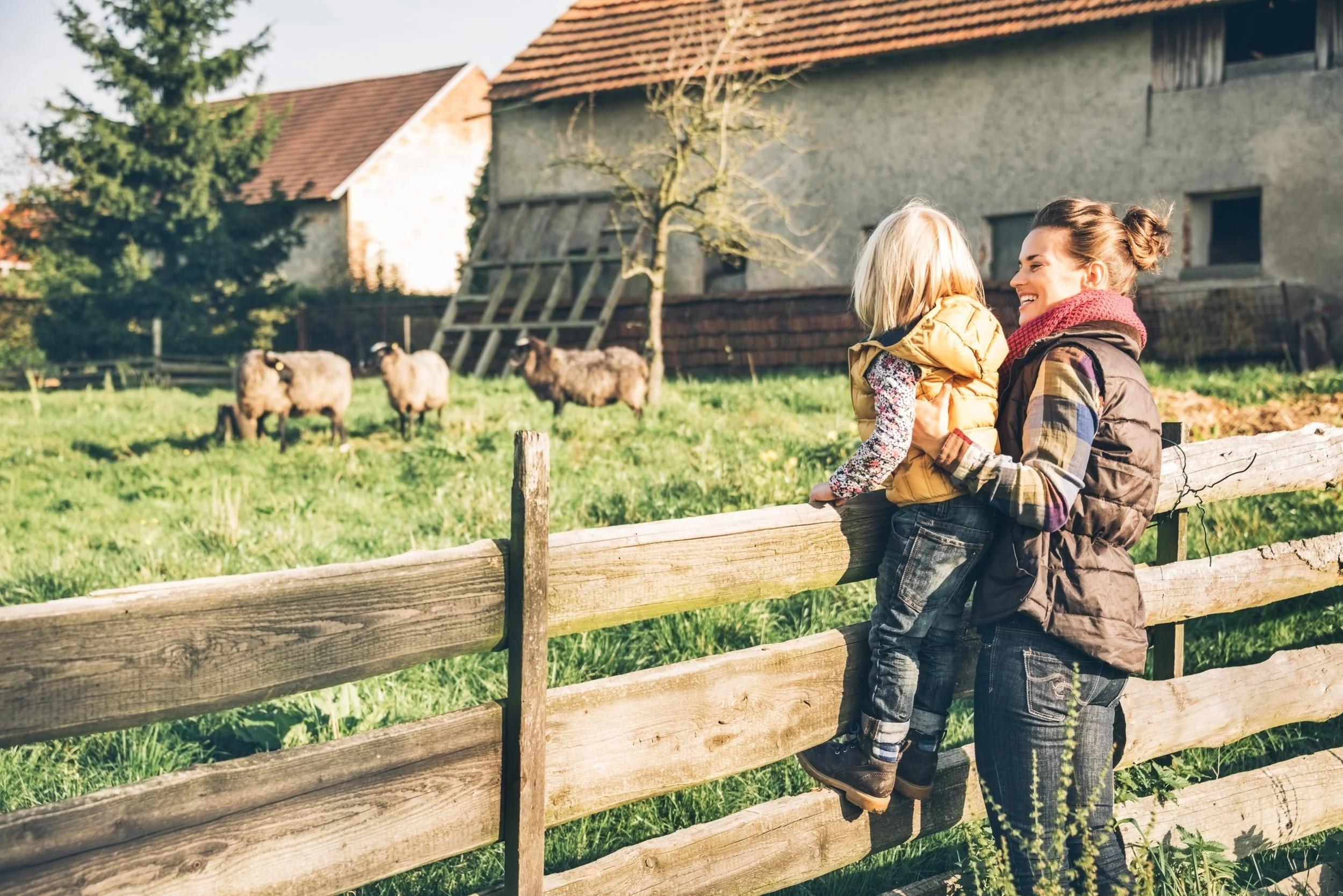 A woman and a young girl looking at livestock in a farmyard, with wooden fences and a barn in the background.