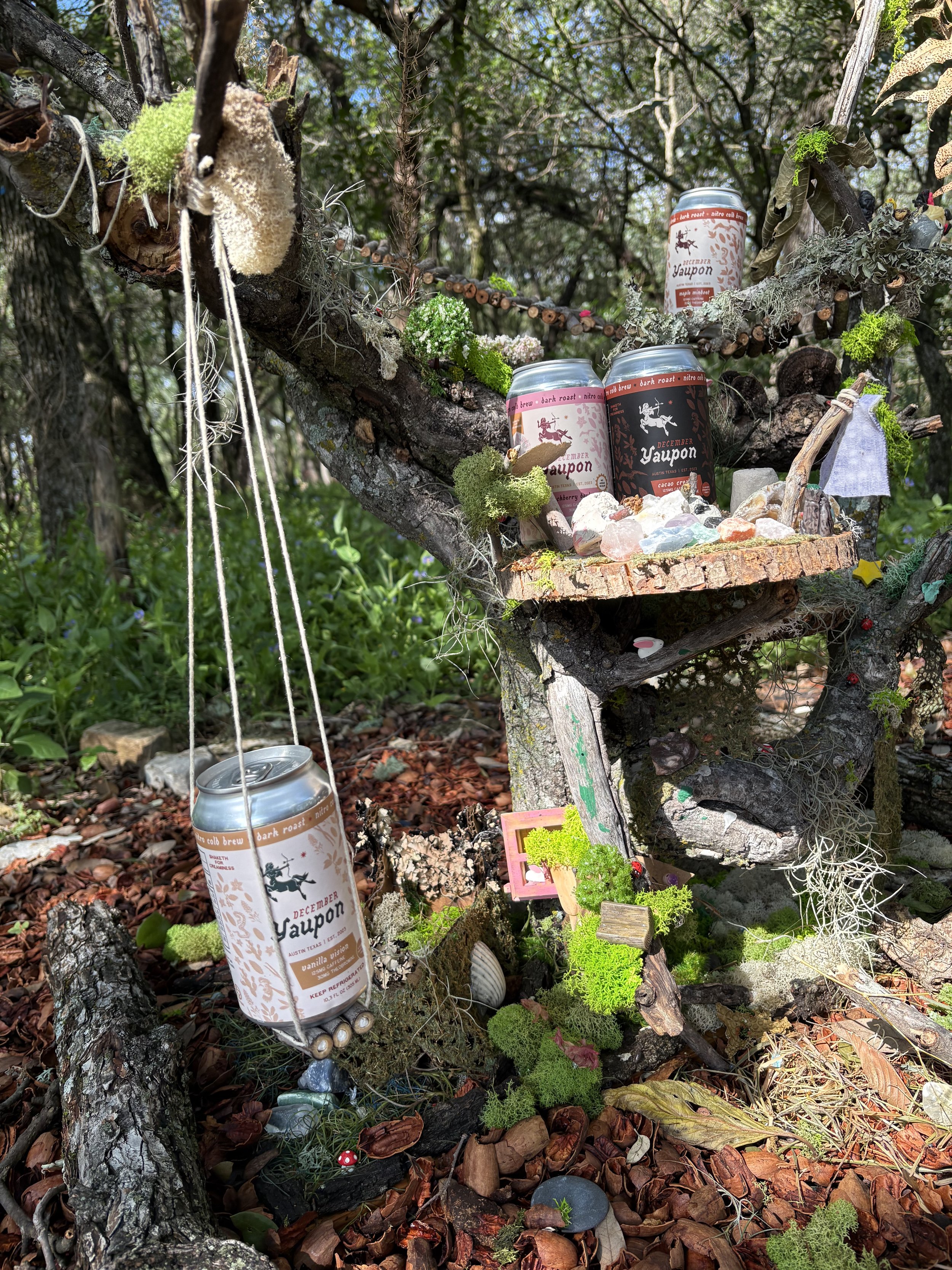 Yaupon Yap - Tasting and Foraging with Stumped by Nature