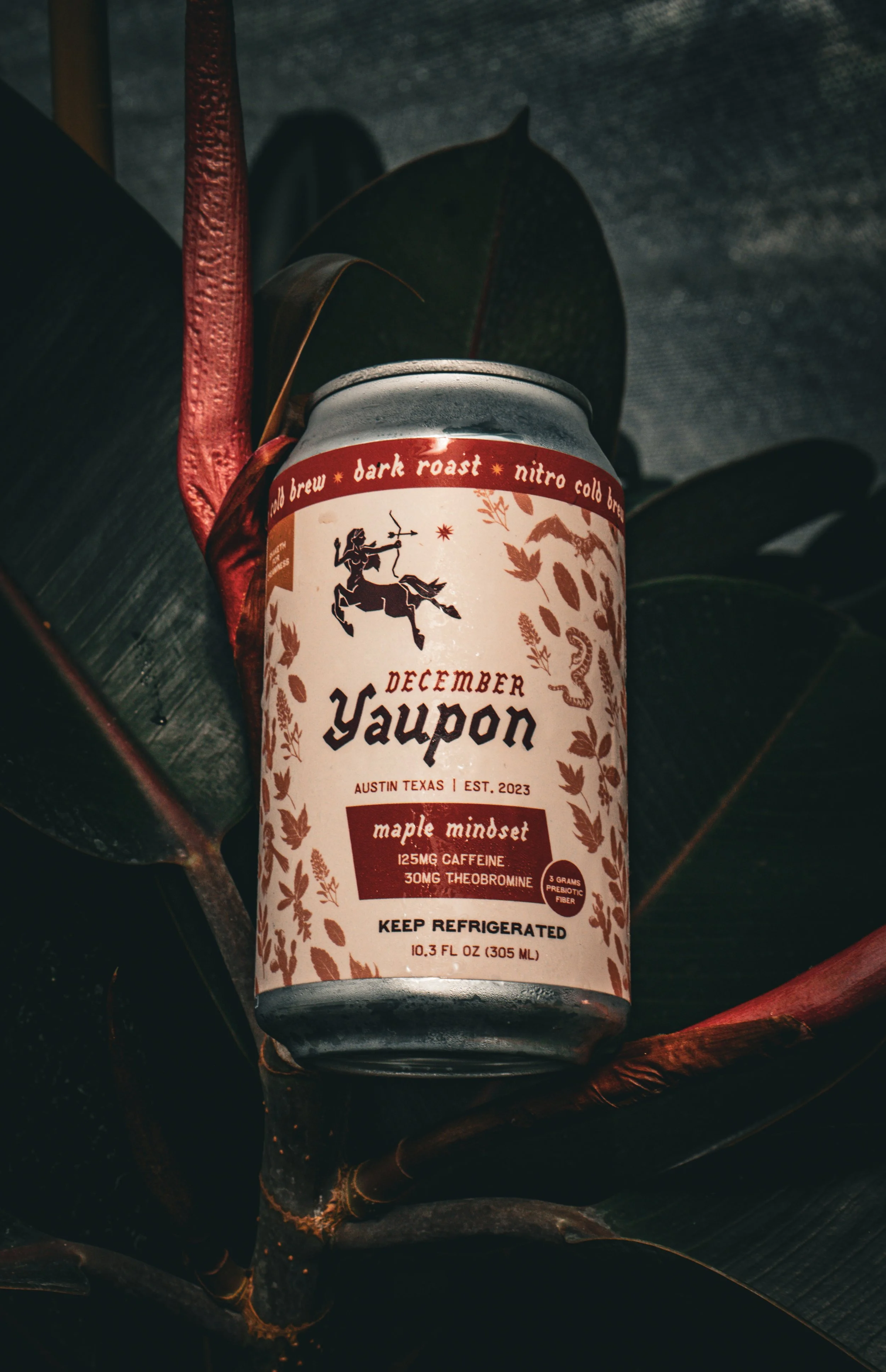 DECEMBER YAUPON AT THE GREAT OUTDOORS