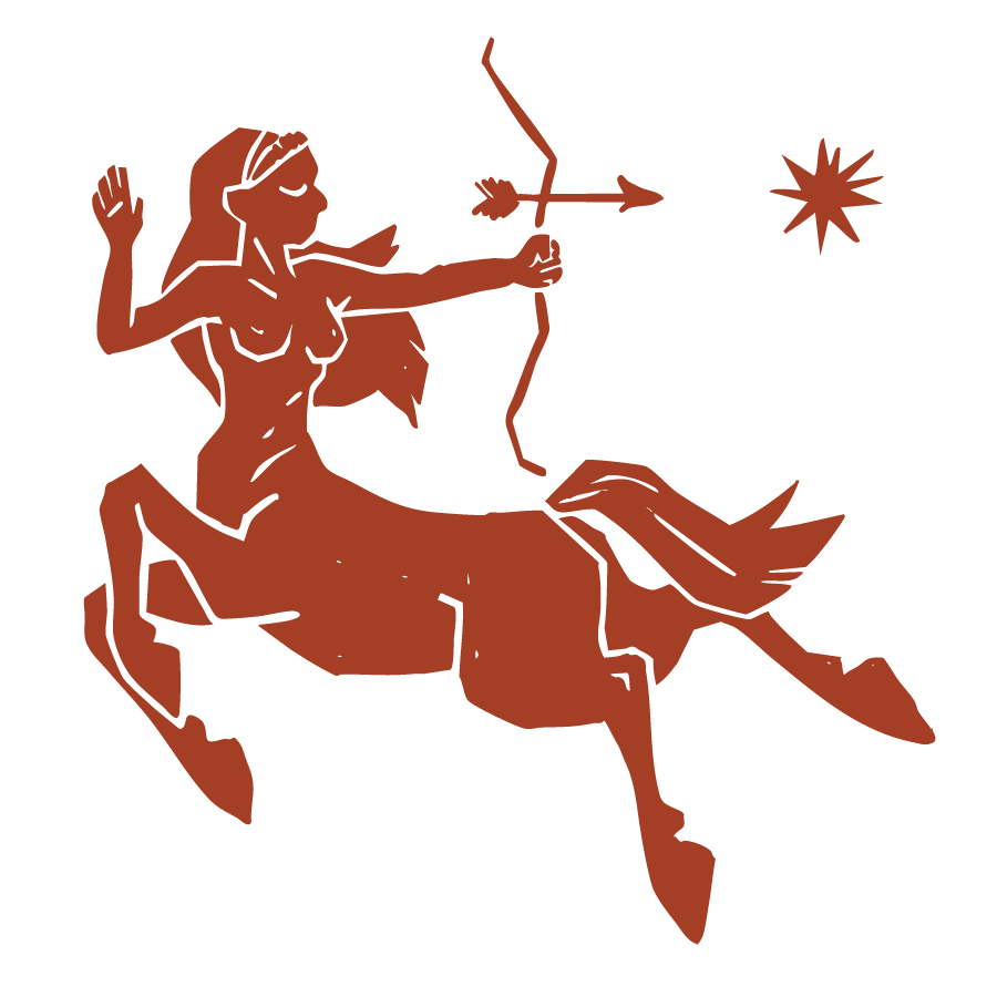 Stylized illustration of a woman with long hair, riding a horse while aiming a bow and arrow towards a star in the sky.