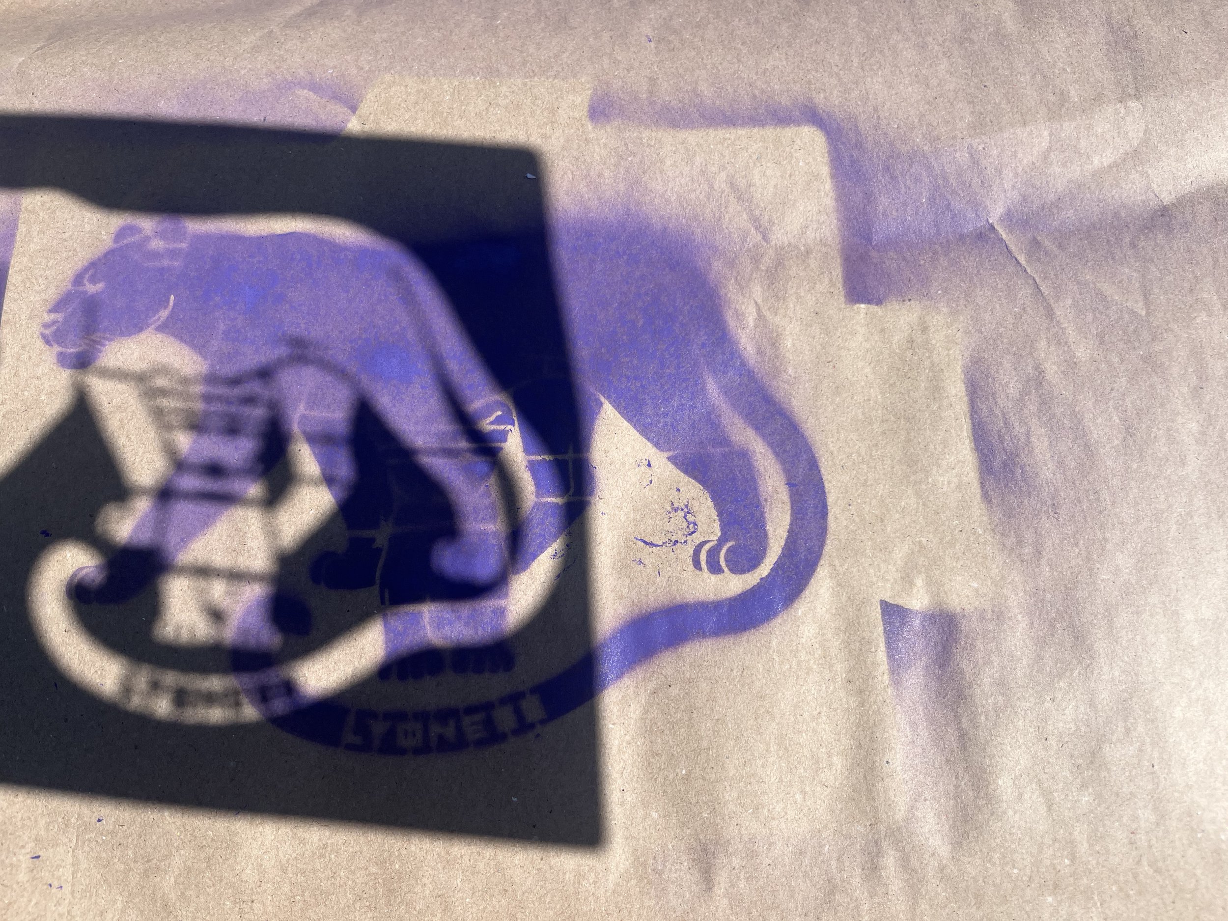 Lyoness Industries logo painted onto packaging for a suspended day bed kit in Hampton Roads, Virginia