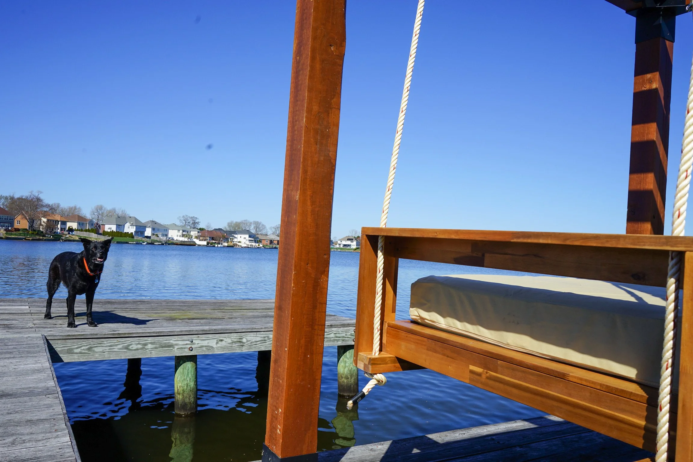 boat dock with dog and suspended daybed structure installed for free by Lyoness Industries in Virginia Beach, Virginia