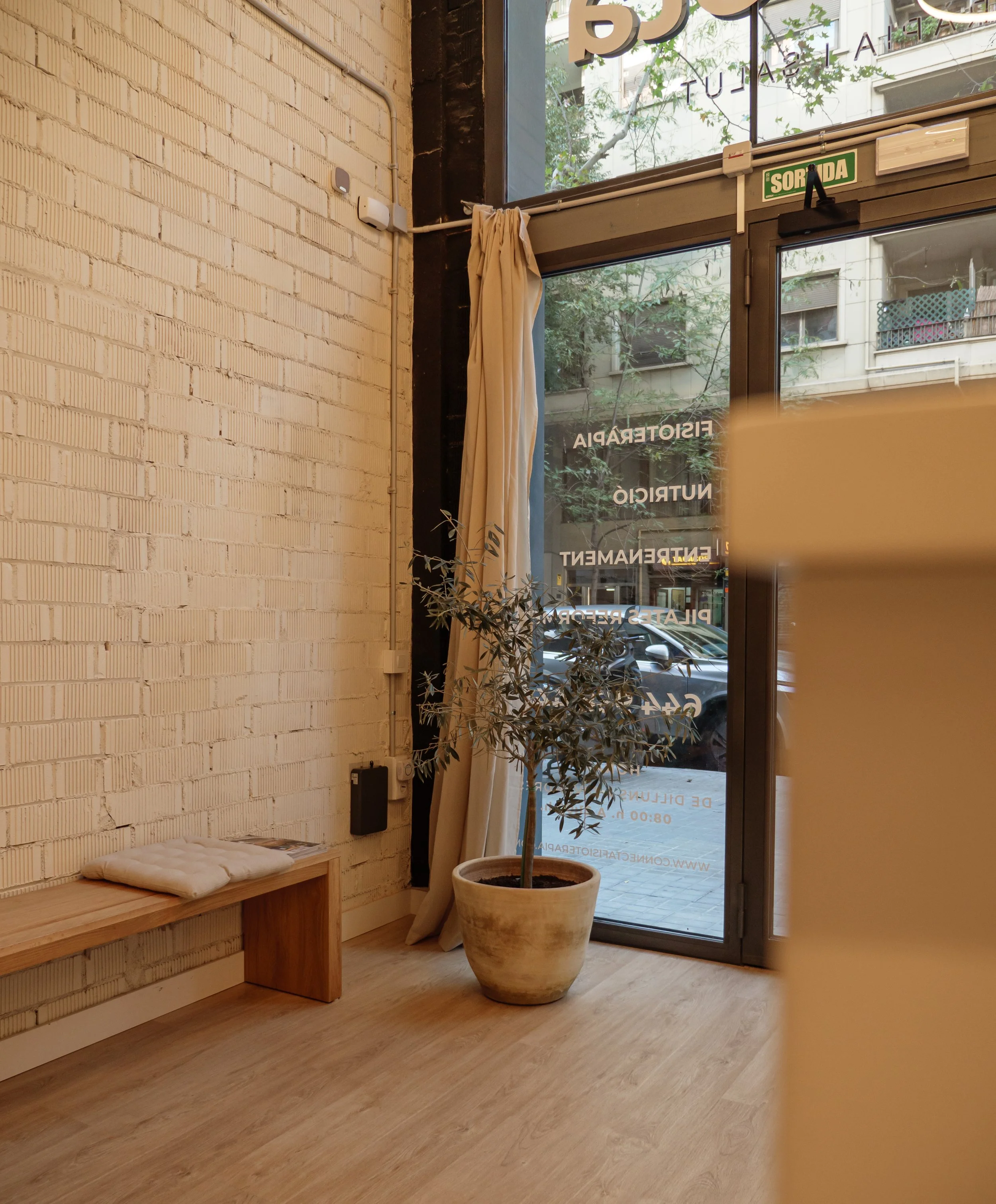 Interior de un local con pared de ladrillos blancas, un banco de madera, una planta en una maceta grande y vidrio con texto en la ventana y una cortina blanca.