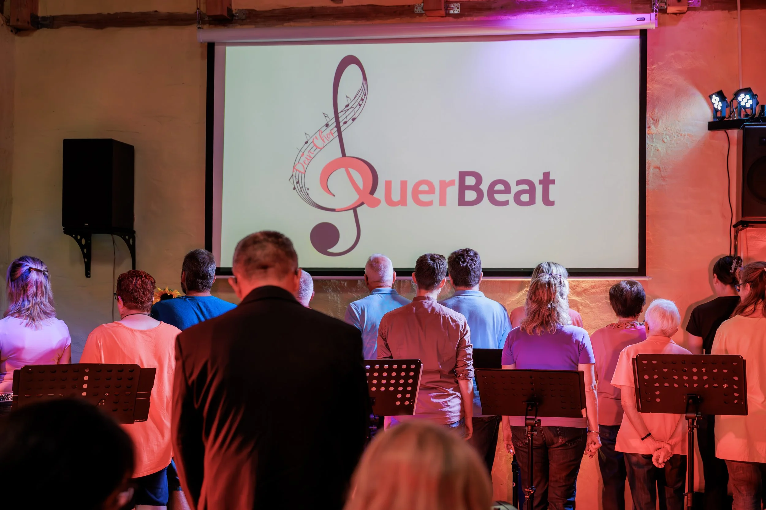 6 - 2025_07_23 Konzert Querbeat (6 von 92).jpg