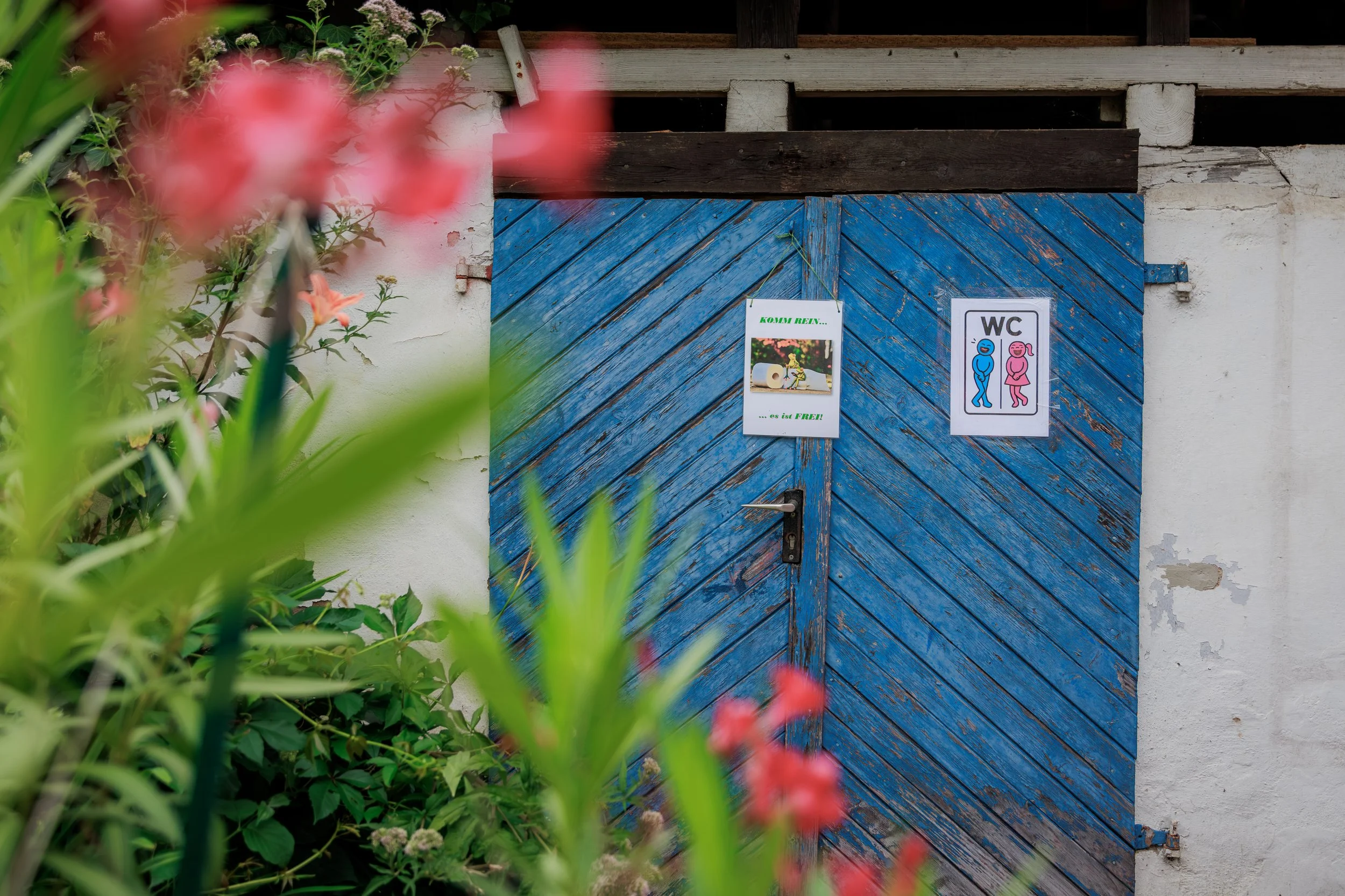 22 - 2025_07_23 Konzert Querbeat (22 von 92).jpg