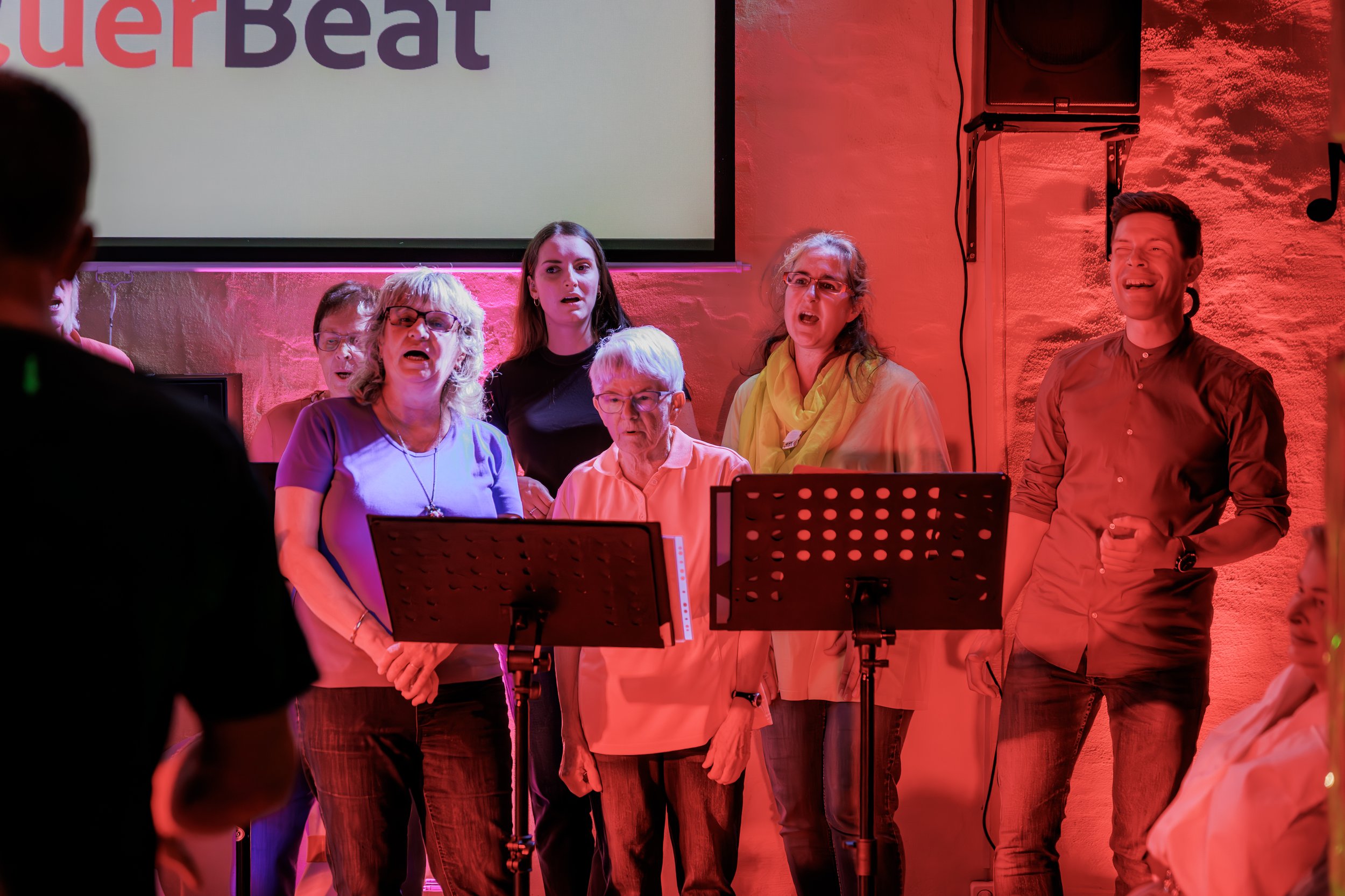 74 - 2025_07_23 Konzert Querbeat (78 von 92).jpg