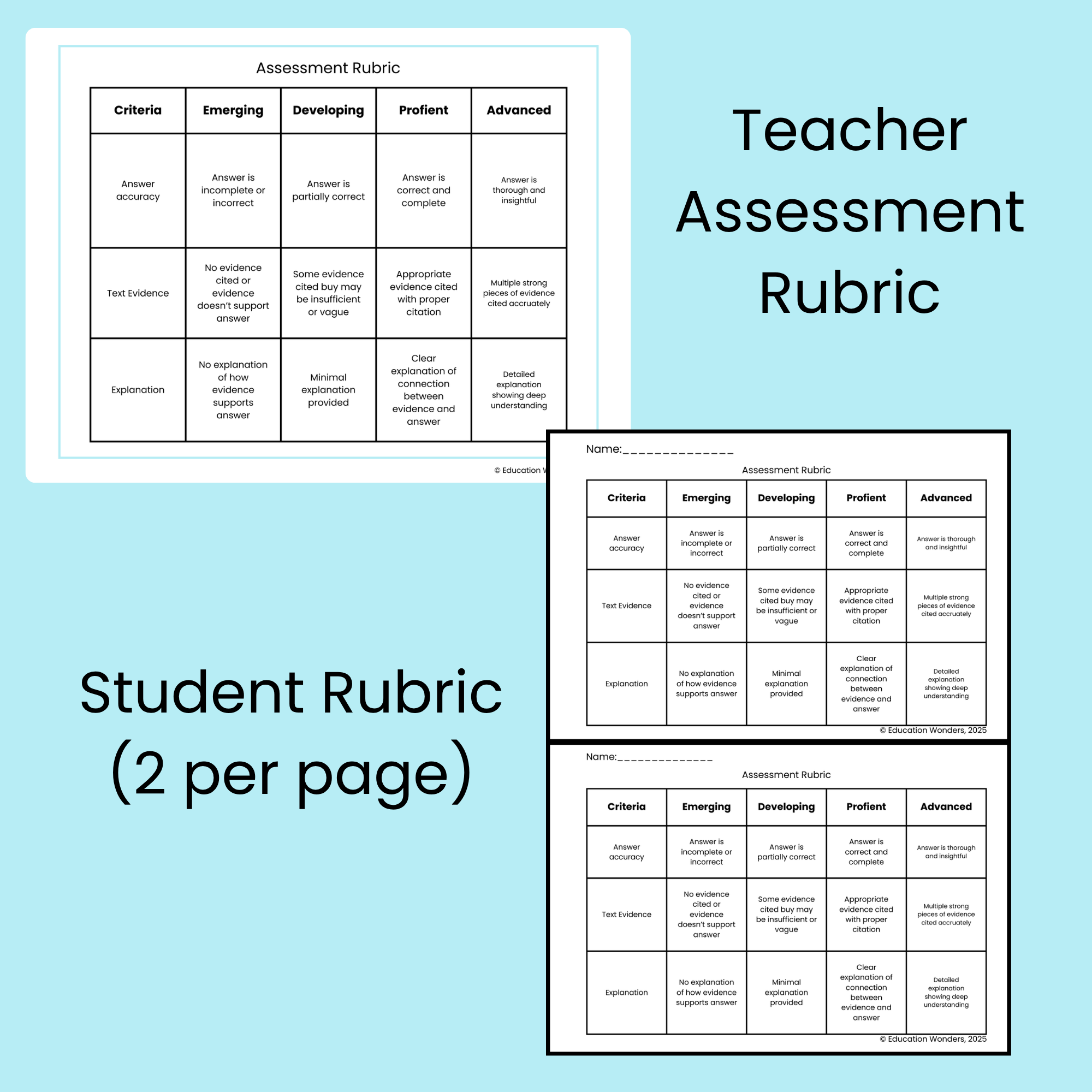 Text Evidence Scavenger Hunt Cover & Preview (1).png