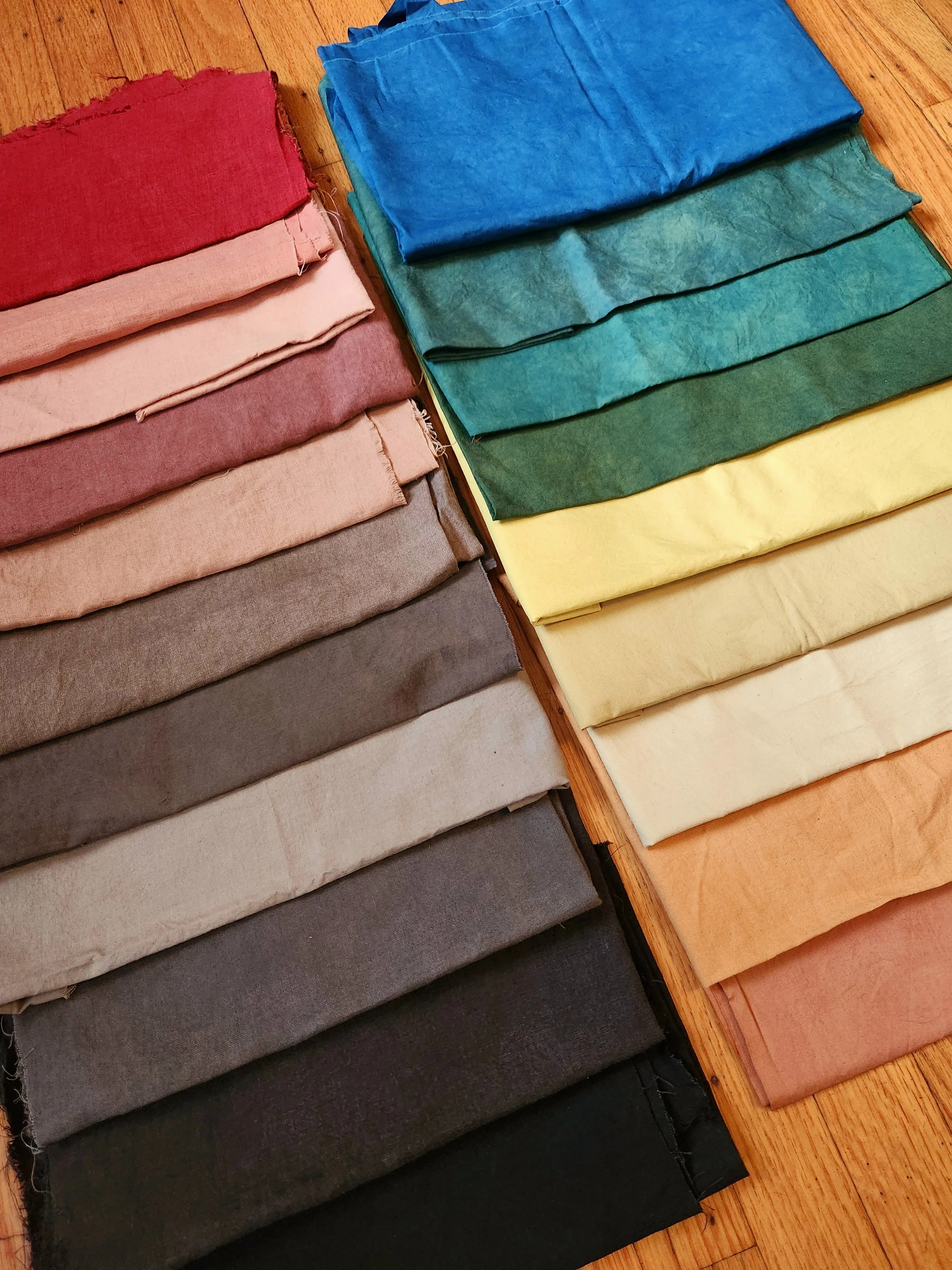 Intro to Natural Dyes on Cloth