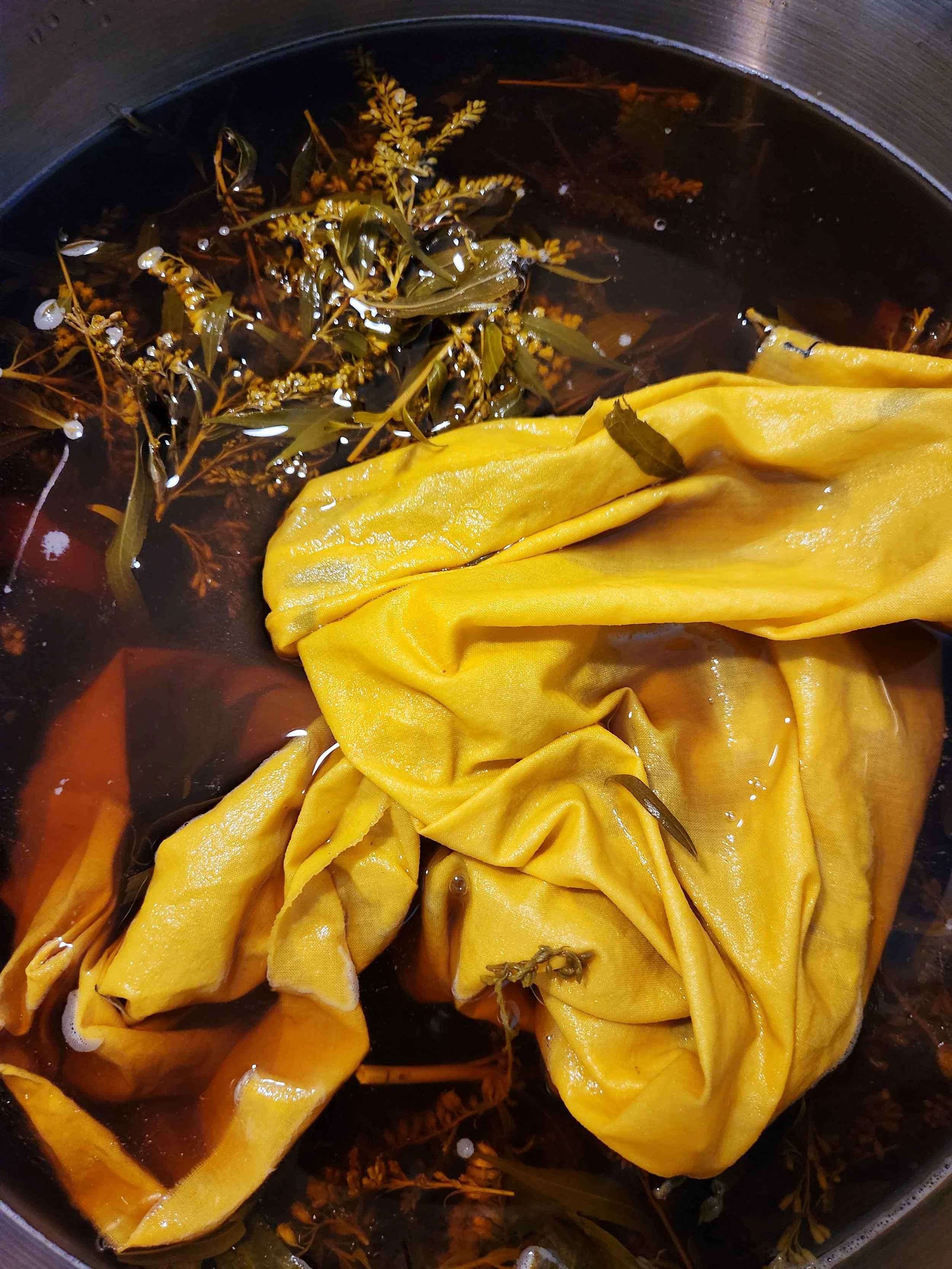 Local Natural Dyes: Philly’s Autumn Colors