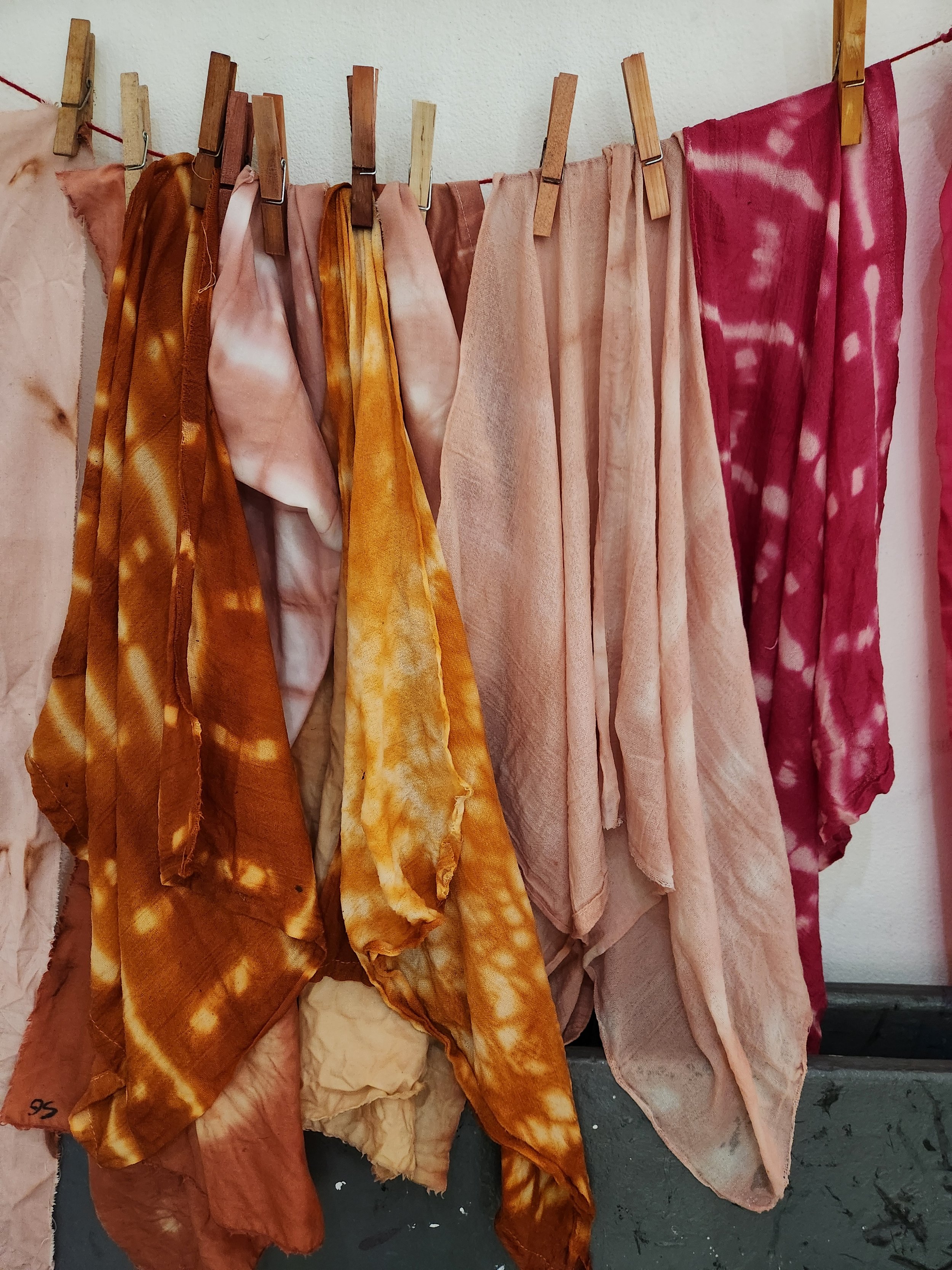 Foundations of Natural Dyeing