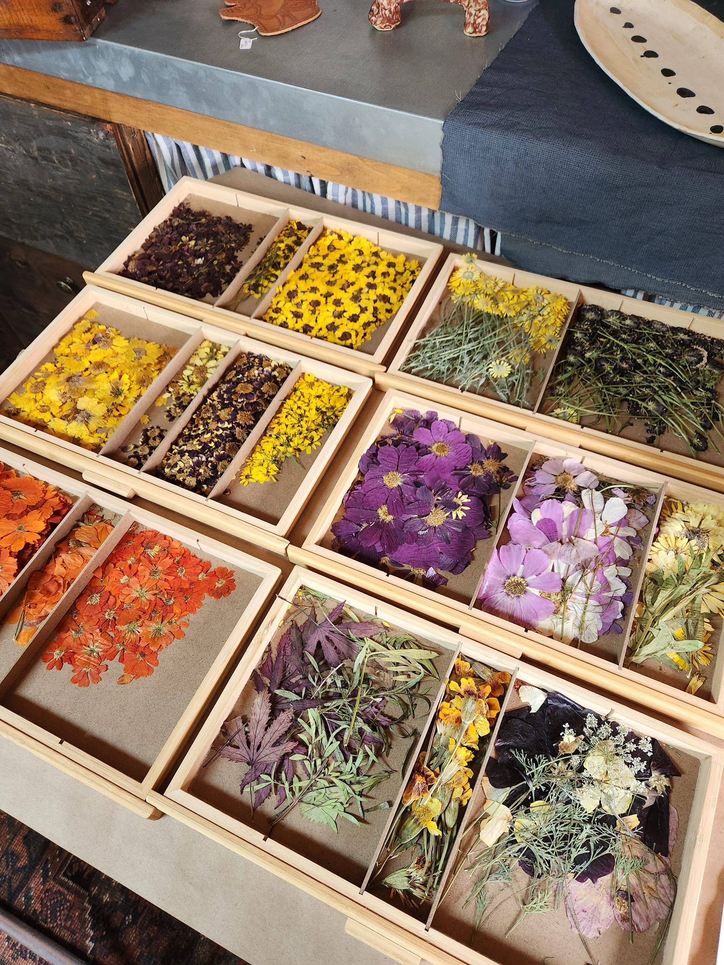 Eco-Printing with Pressed Flowers on Silk