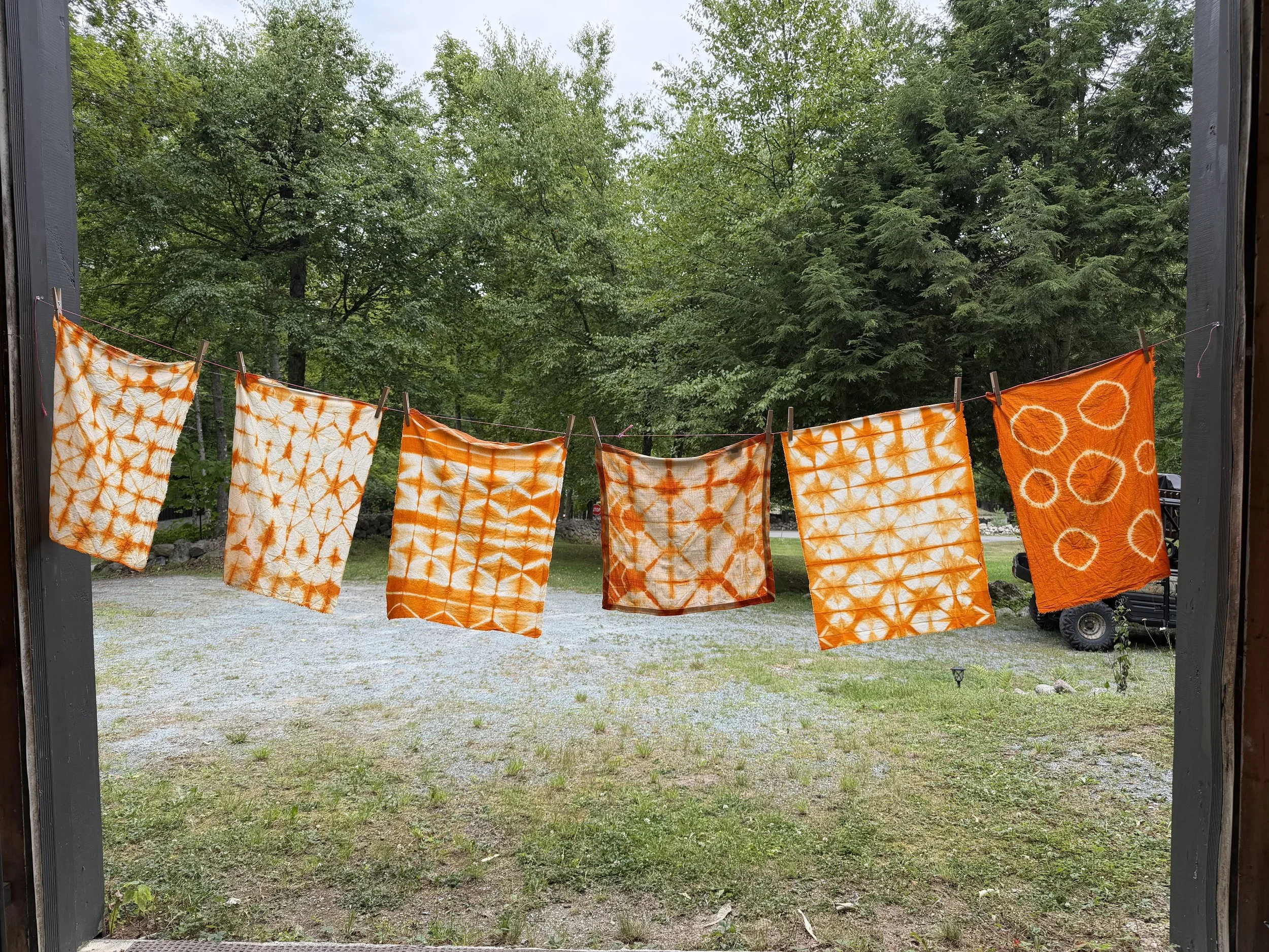 Shibori with Plant Dyes
