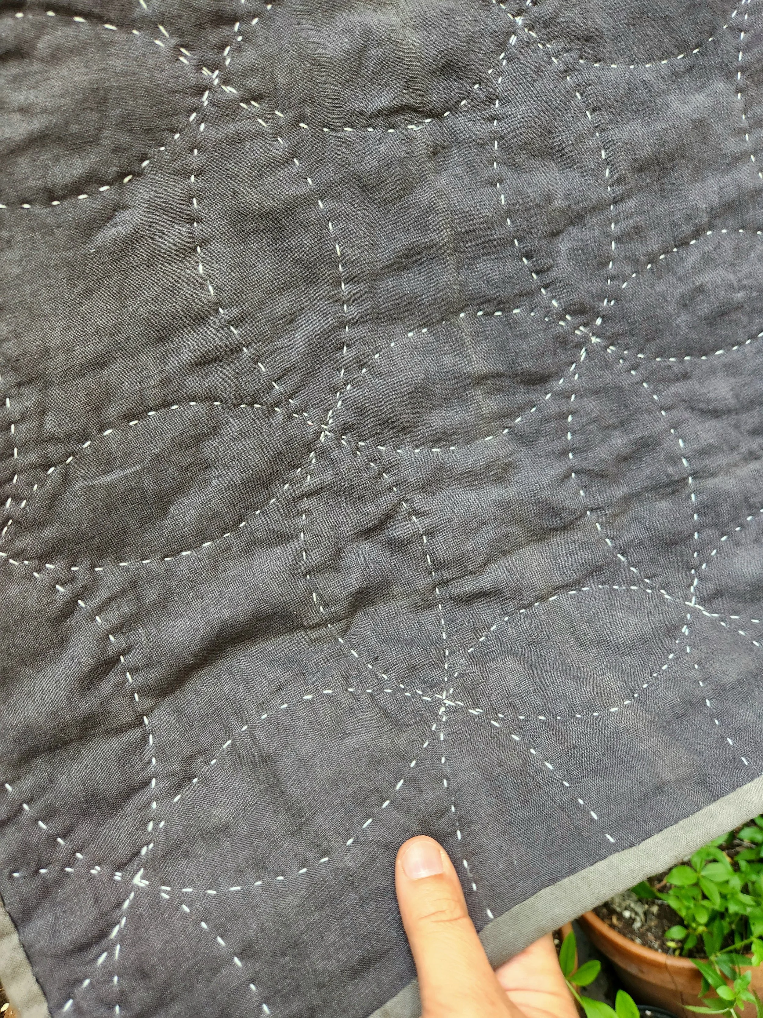 20260605_114633.jpg