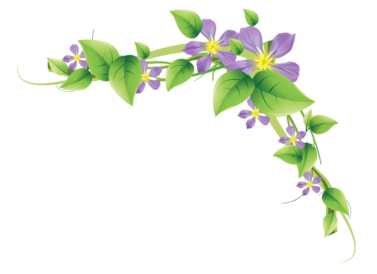 Your teams will love the options of corn/ flour tortillas or bowls to create a great lunch