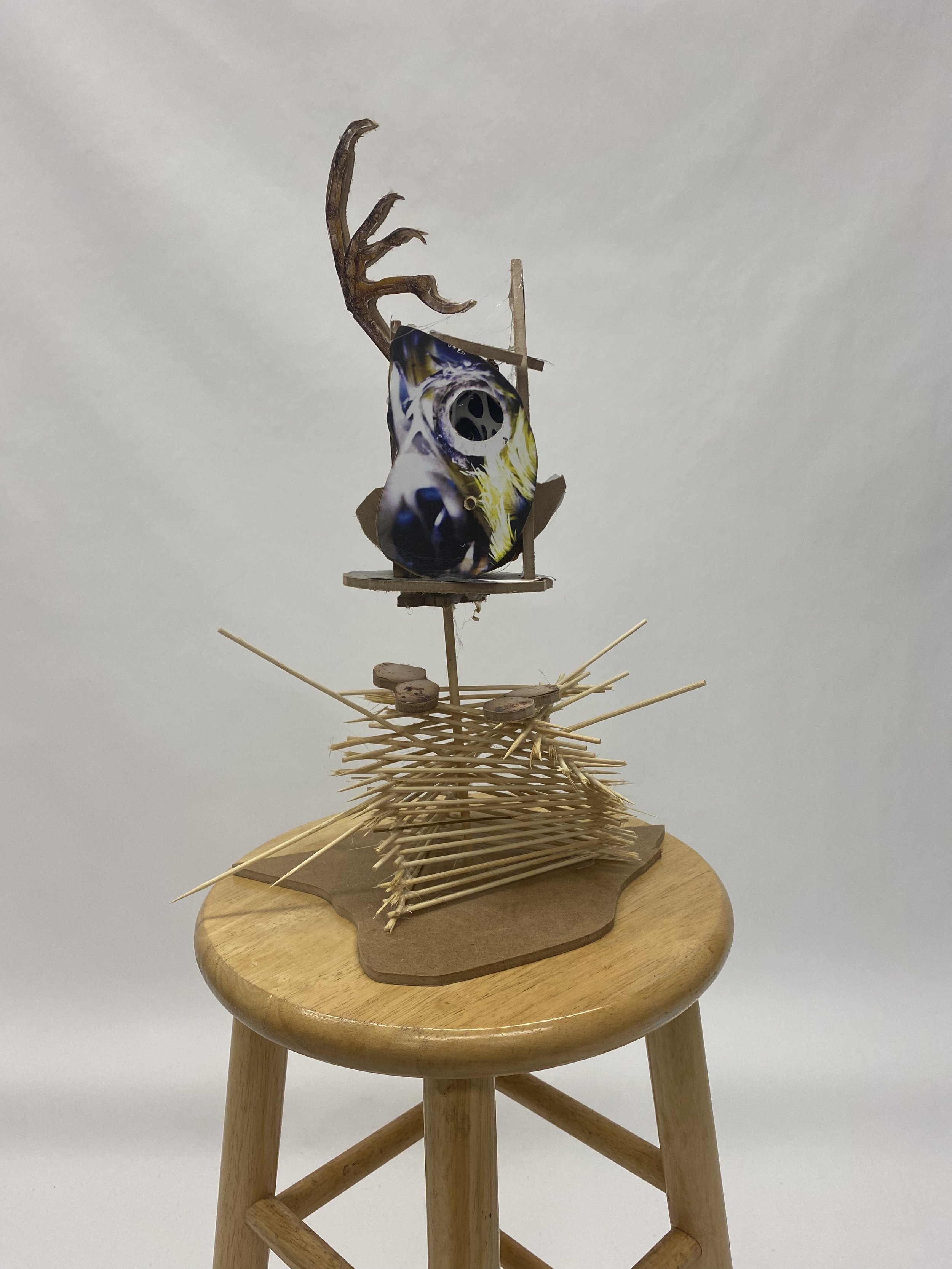 Jewelry Display Case