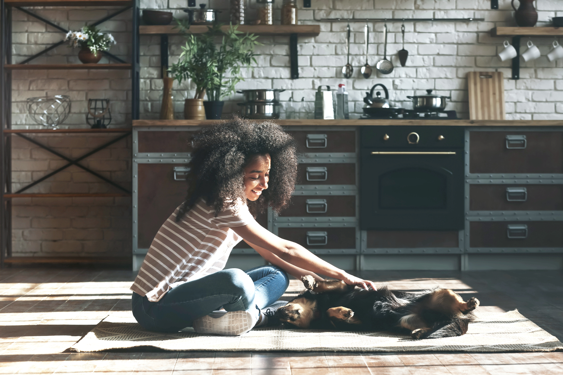 A girl with curly hair in a striped shirt playing with a black and brown dog on a rug inside a cozy kitchen with brick walls and open shelves.
