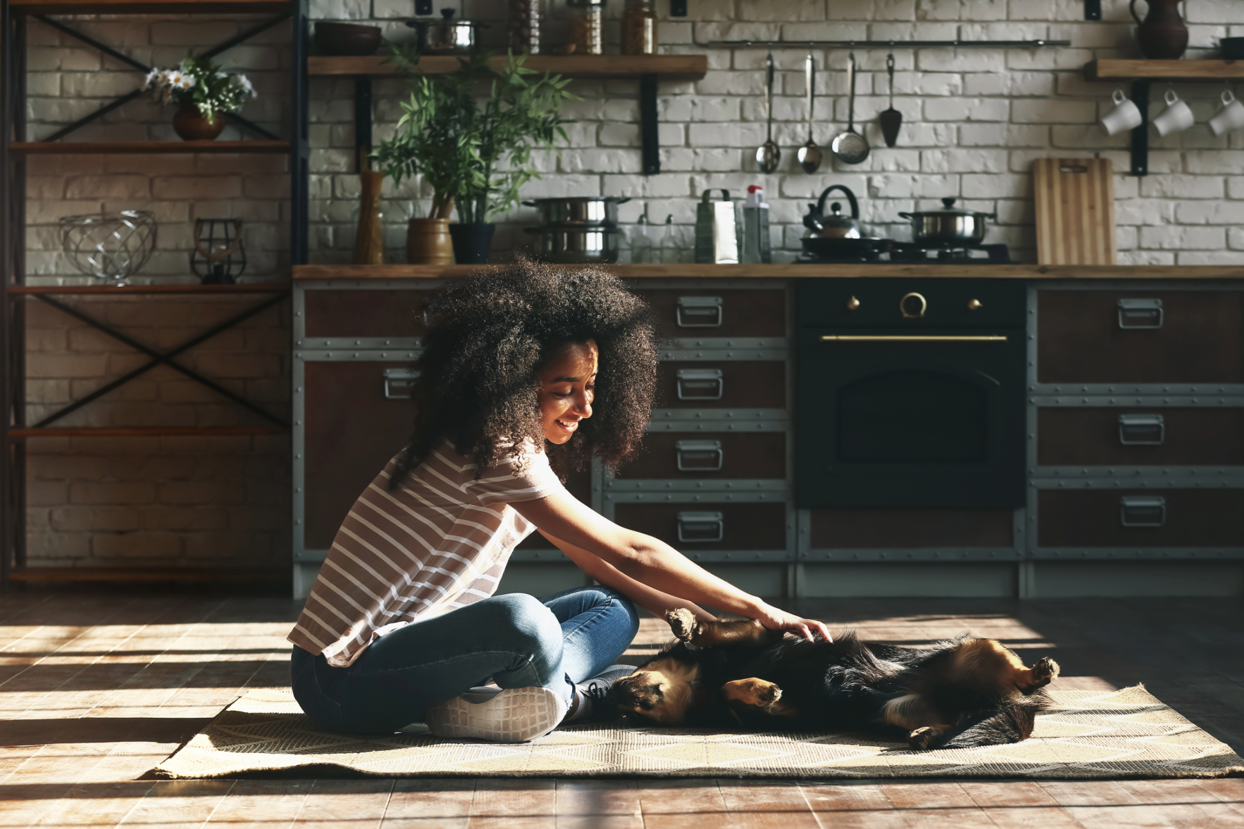 A girl with curly hair in a striped shirt playing with a black and brown dog on a rug inside a cozy kitchen with brick walls and open shelves.